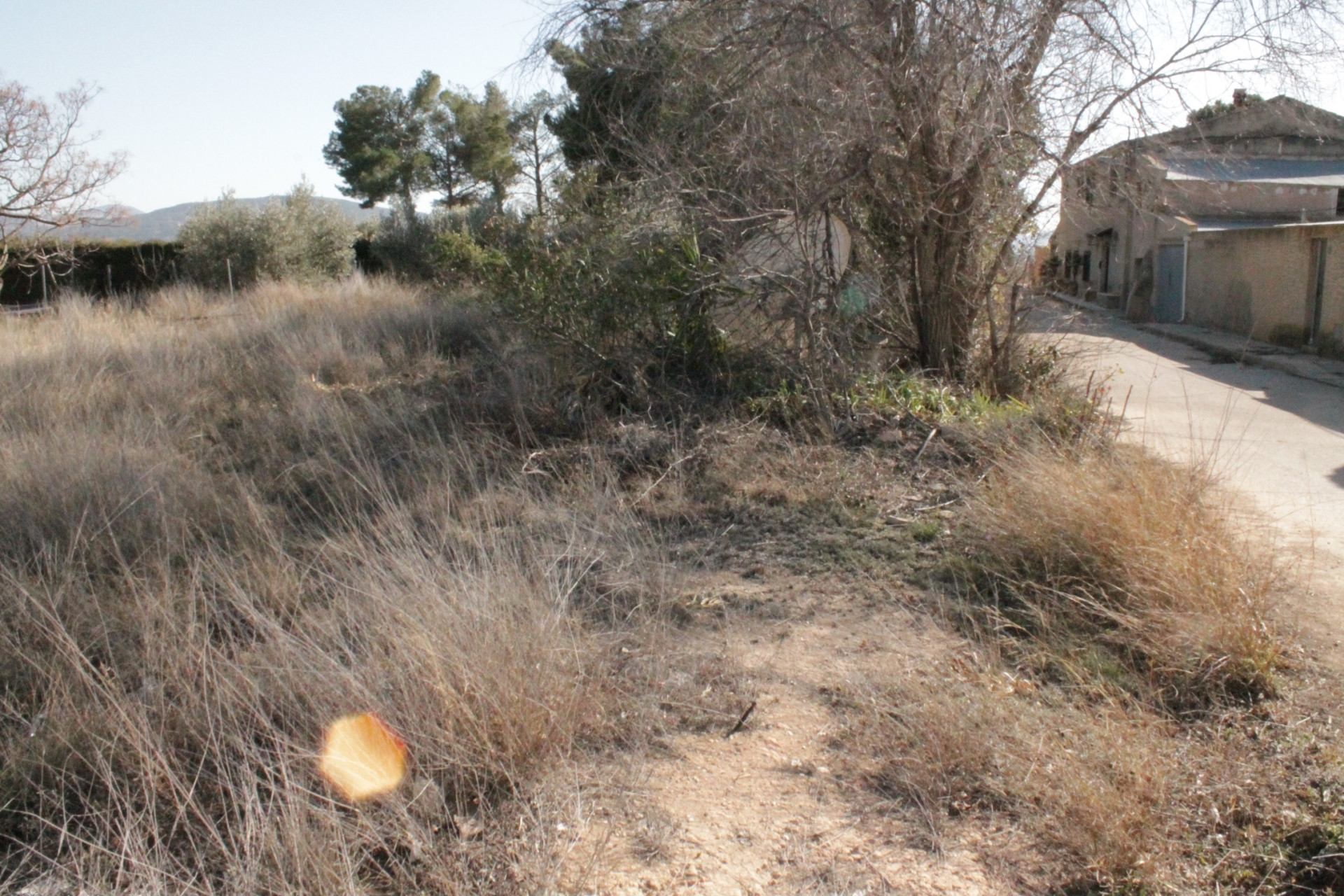 Resale - Finca / Country Property -
Lel - Lel Alicante