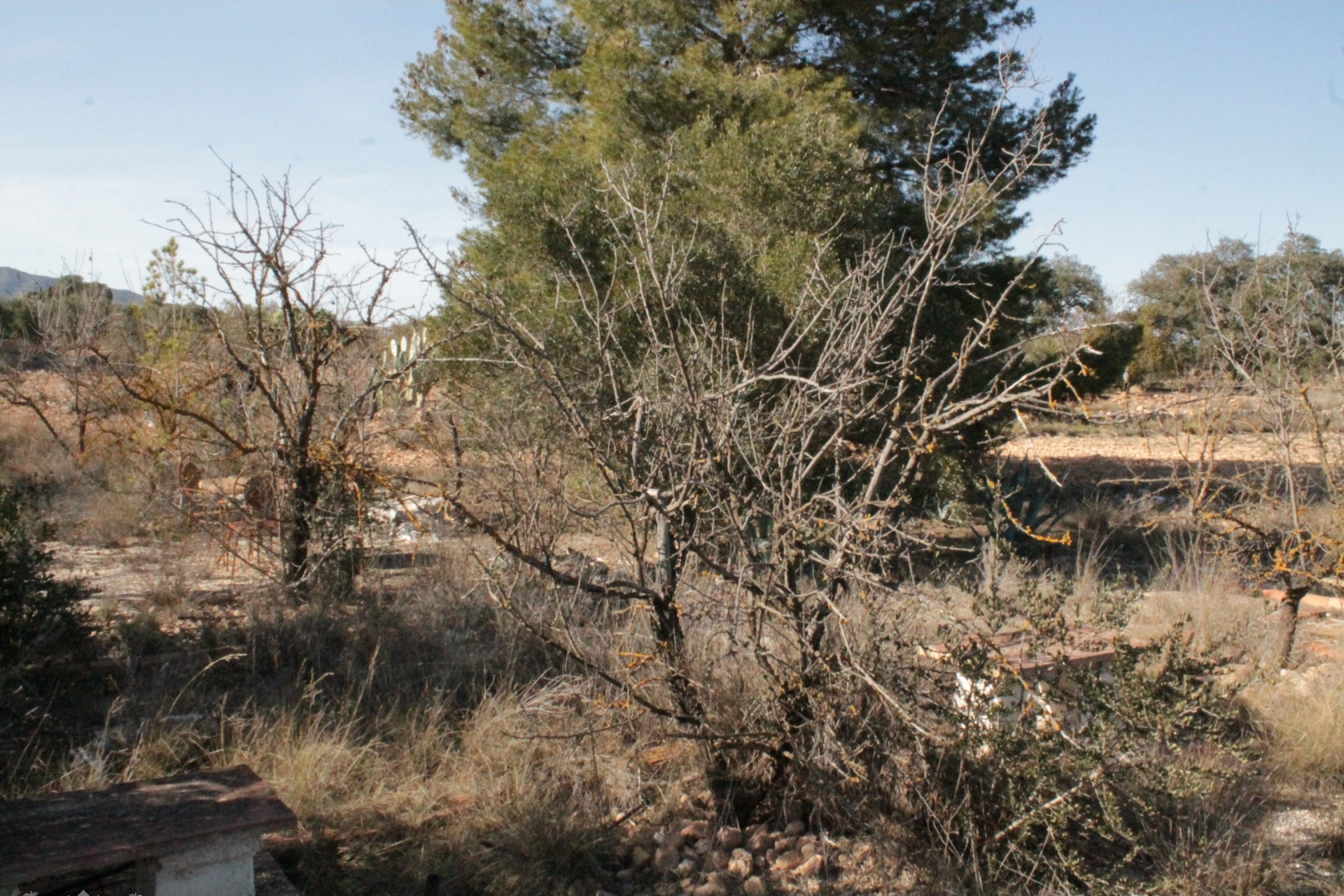 Resale - Finca / Country Property -
Lel - Lel Alicante