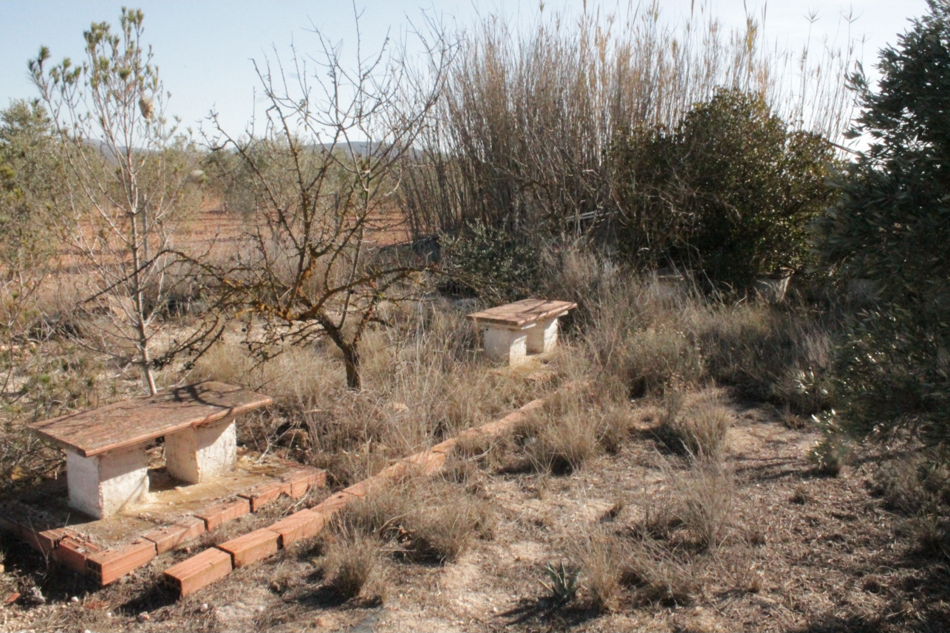 Resale - Finca / Country Property -
Lel - Lel Alicante