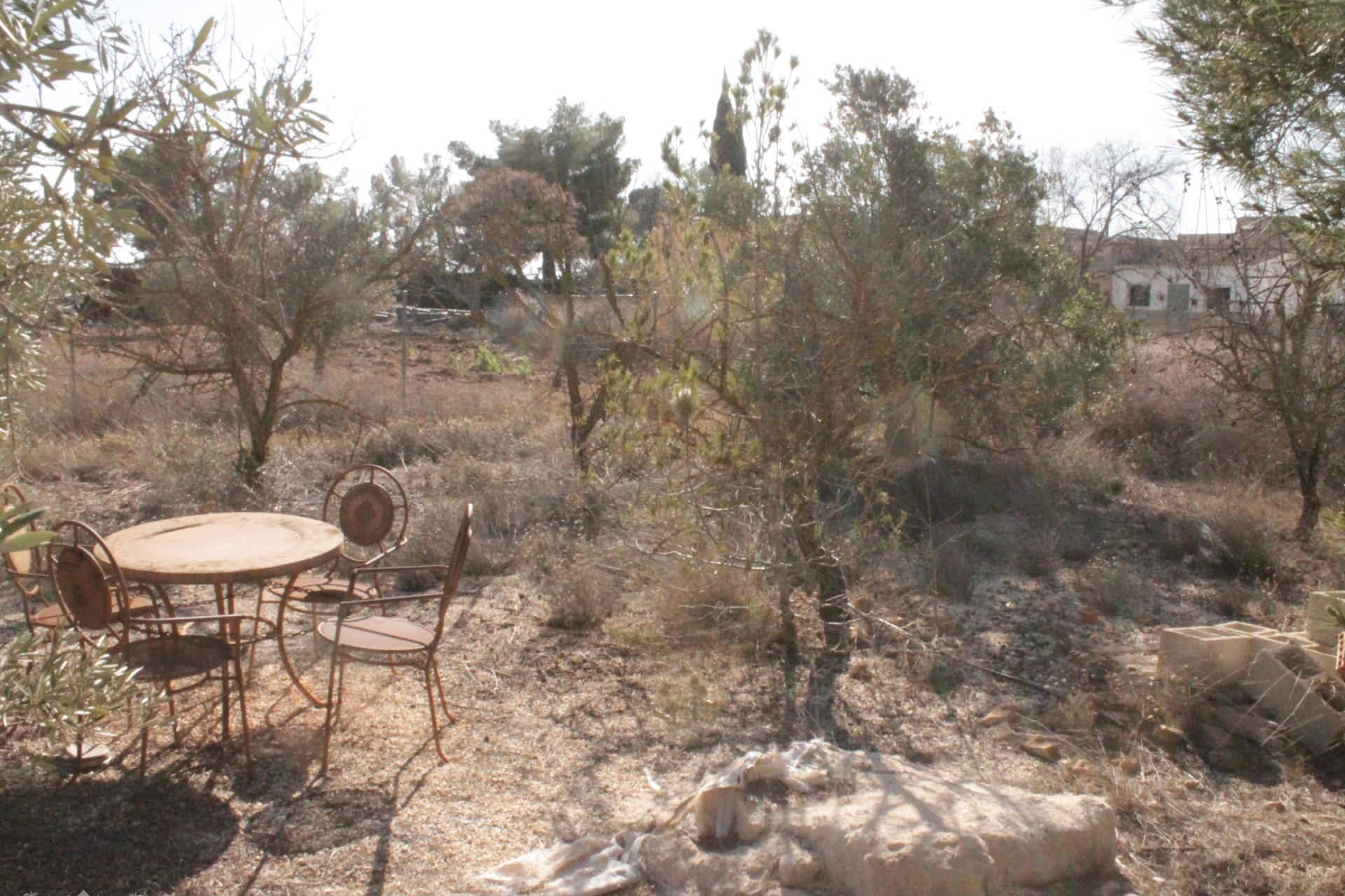 Resale - Finca / Country Property -
Lel - Lel Alicante