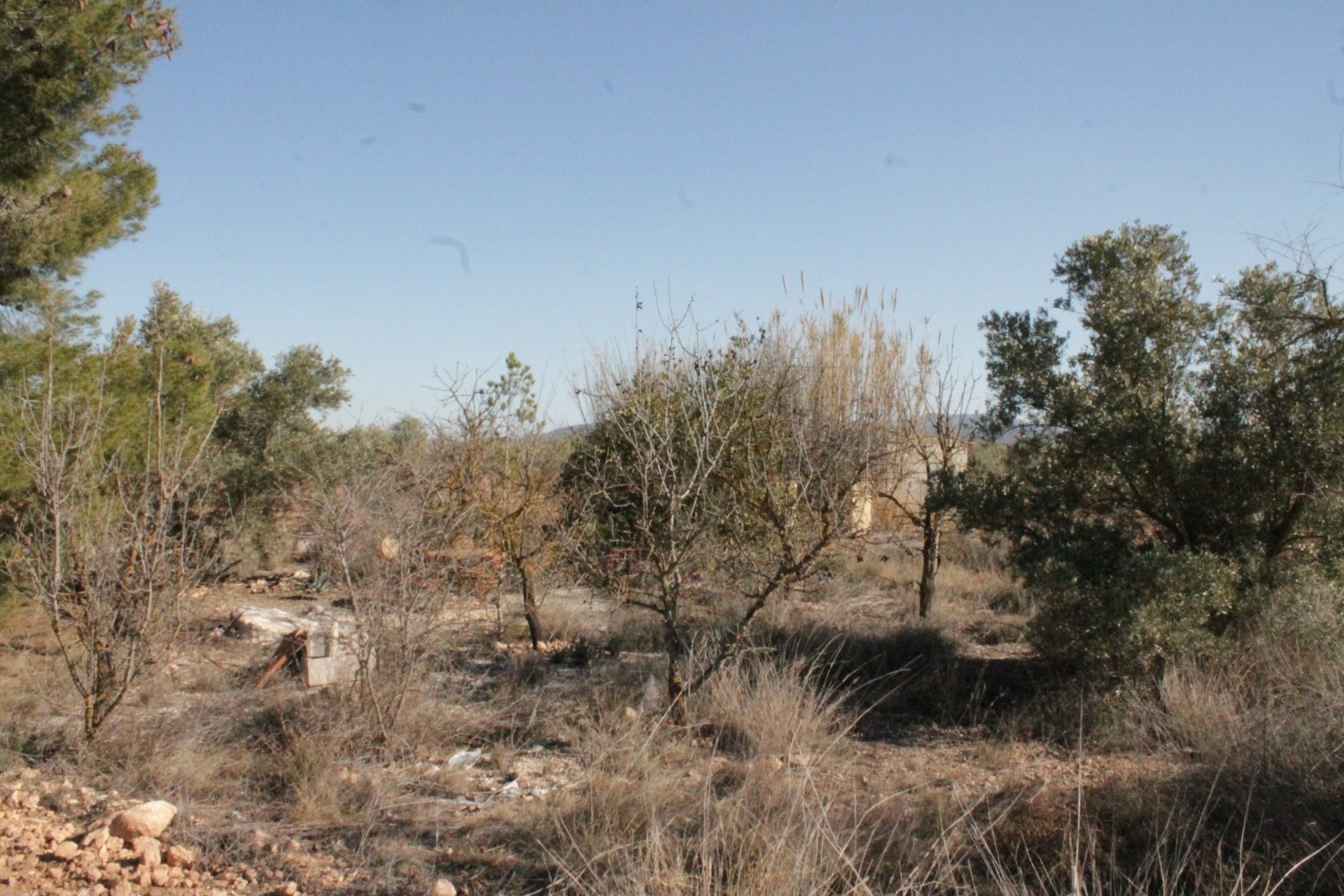 Resale - Finca / Country Property -
Lel - Lel Alicante