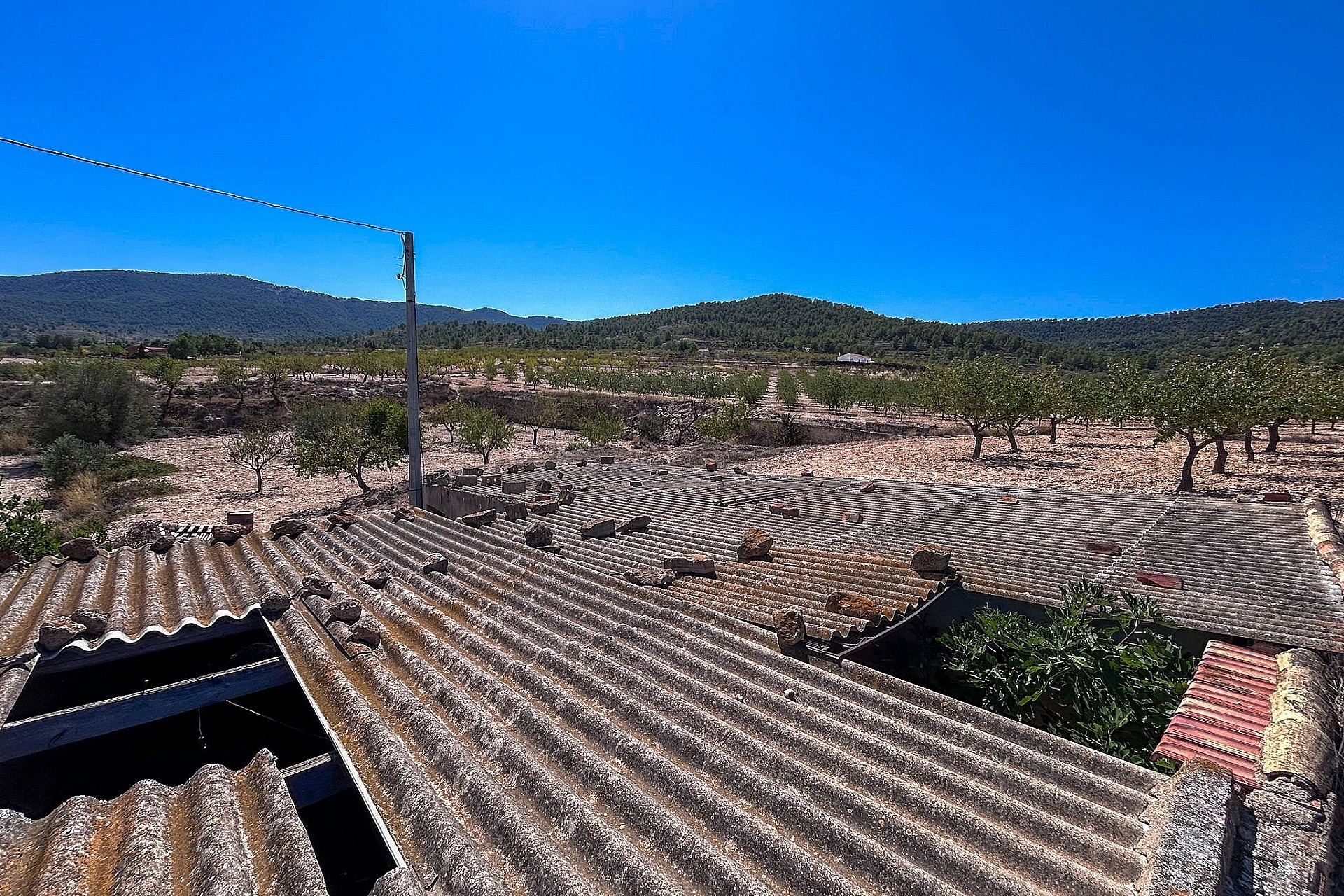 Resale - Finca / Country Property -
Monovar