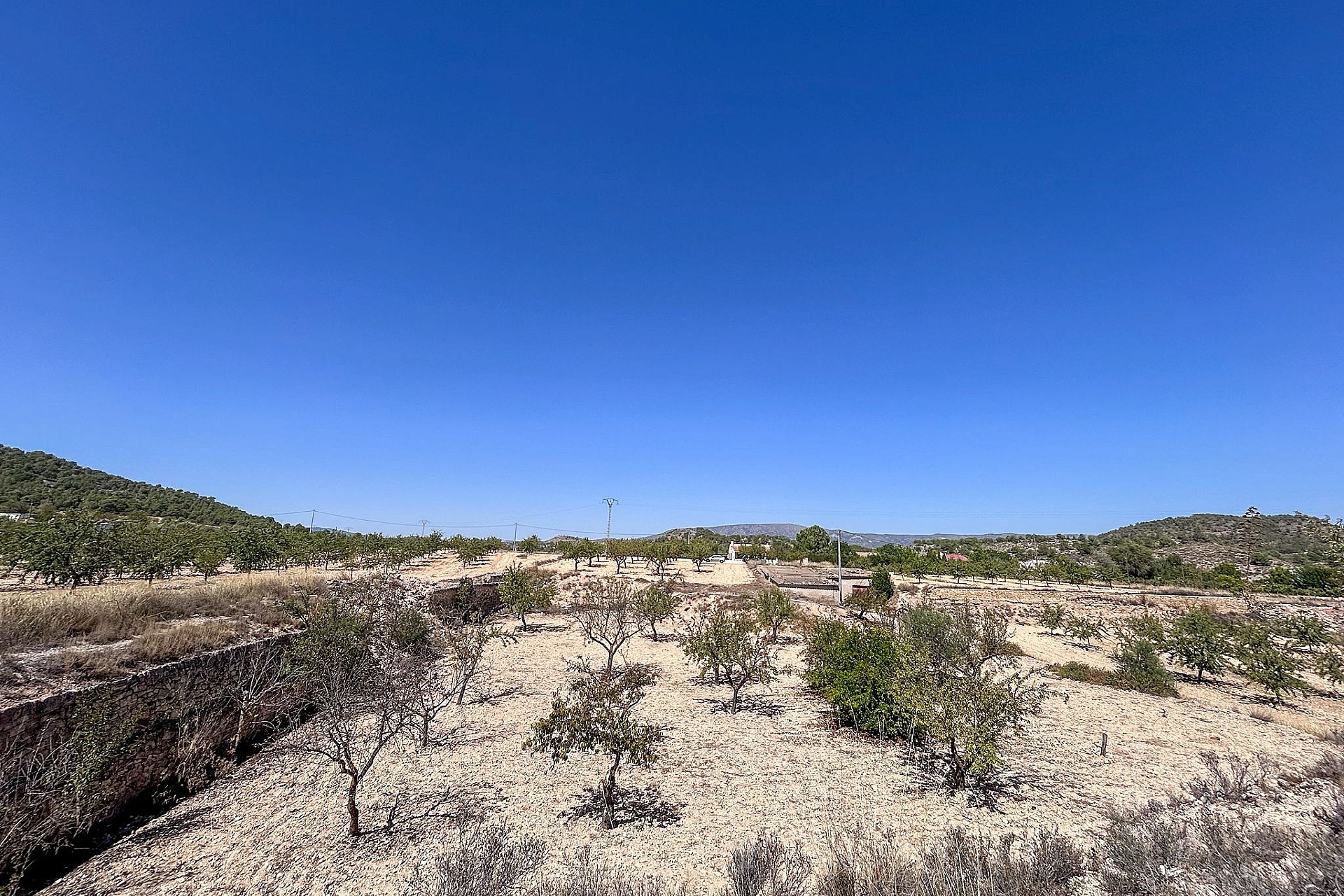 Resale - Finca / Country Property -
Monovar