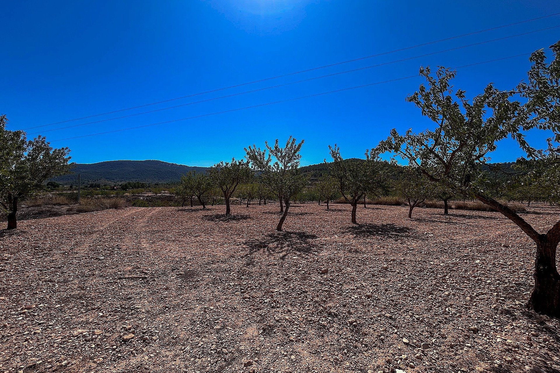 Resale - Finca / Country Property -
Monovar