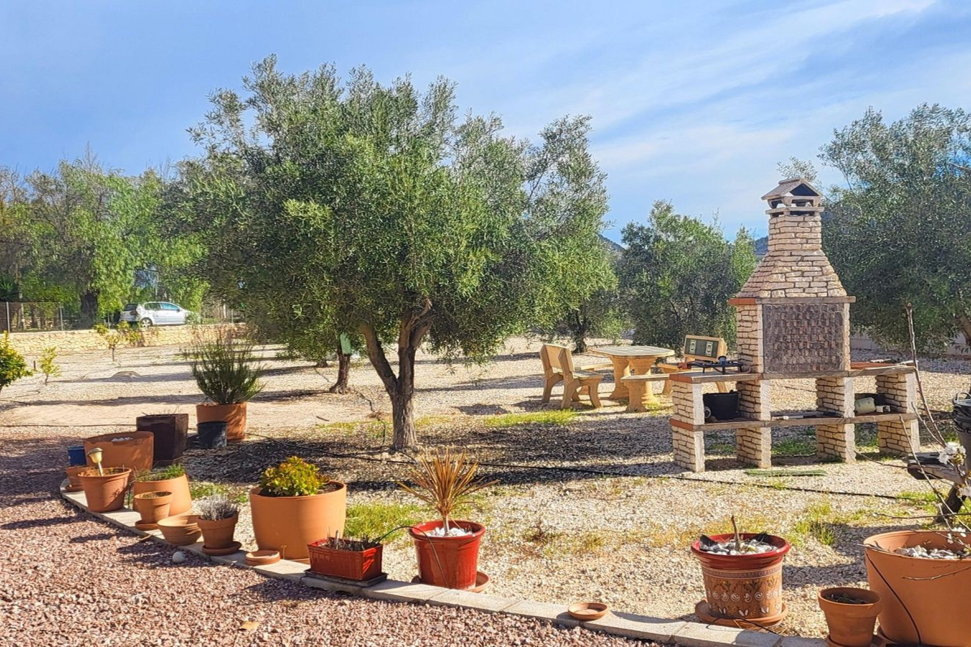 Resale - Finca - Country Property -
Monovar