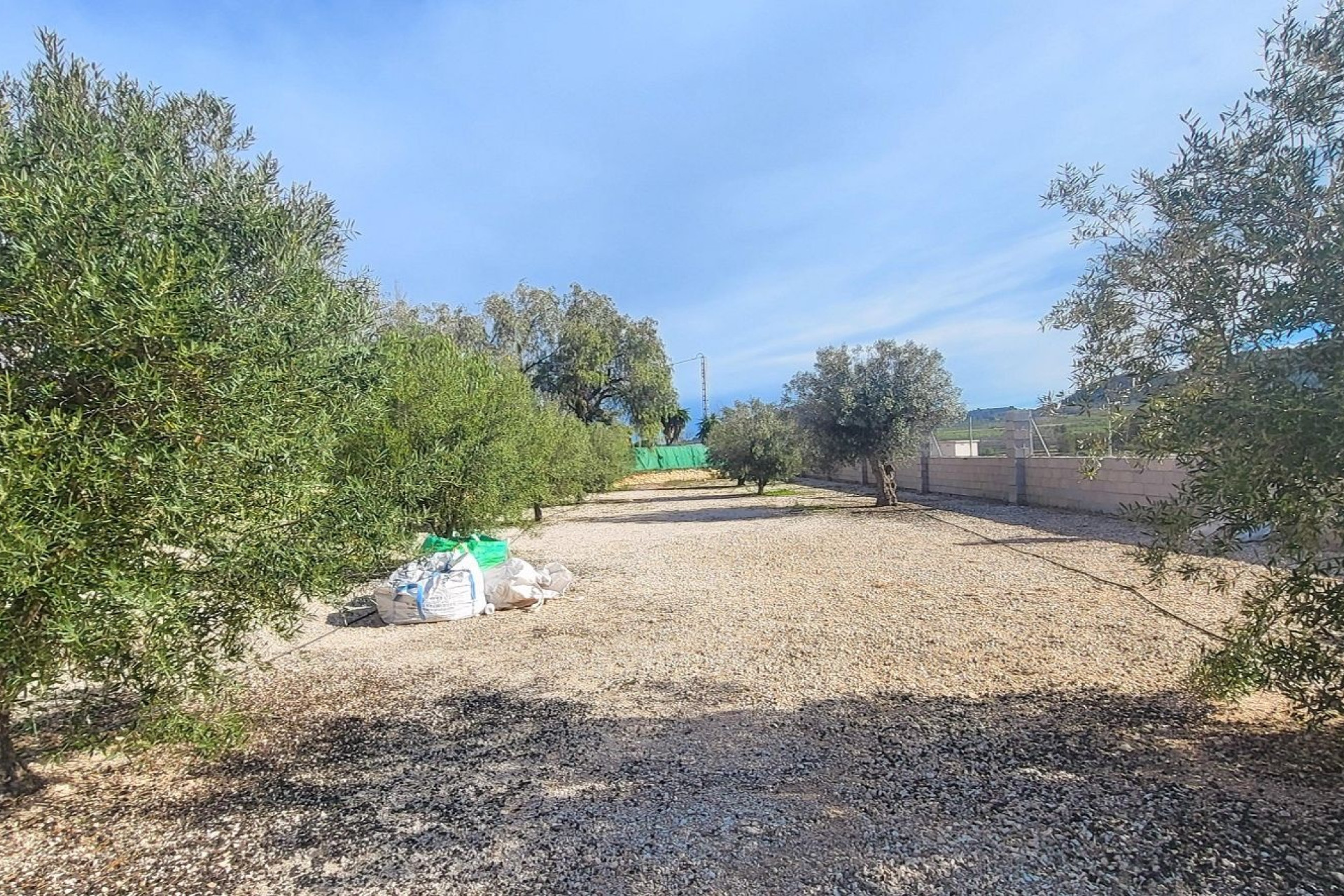 Resale - Finca - Country Property -
Monovar