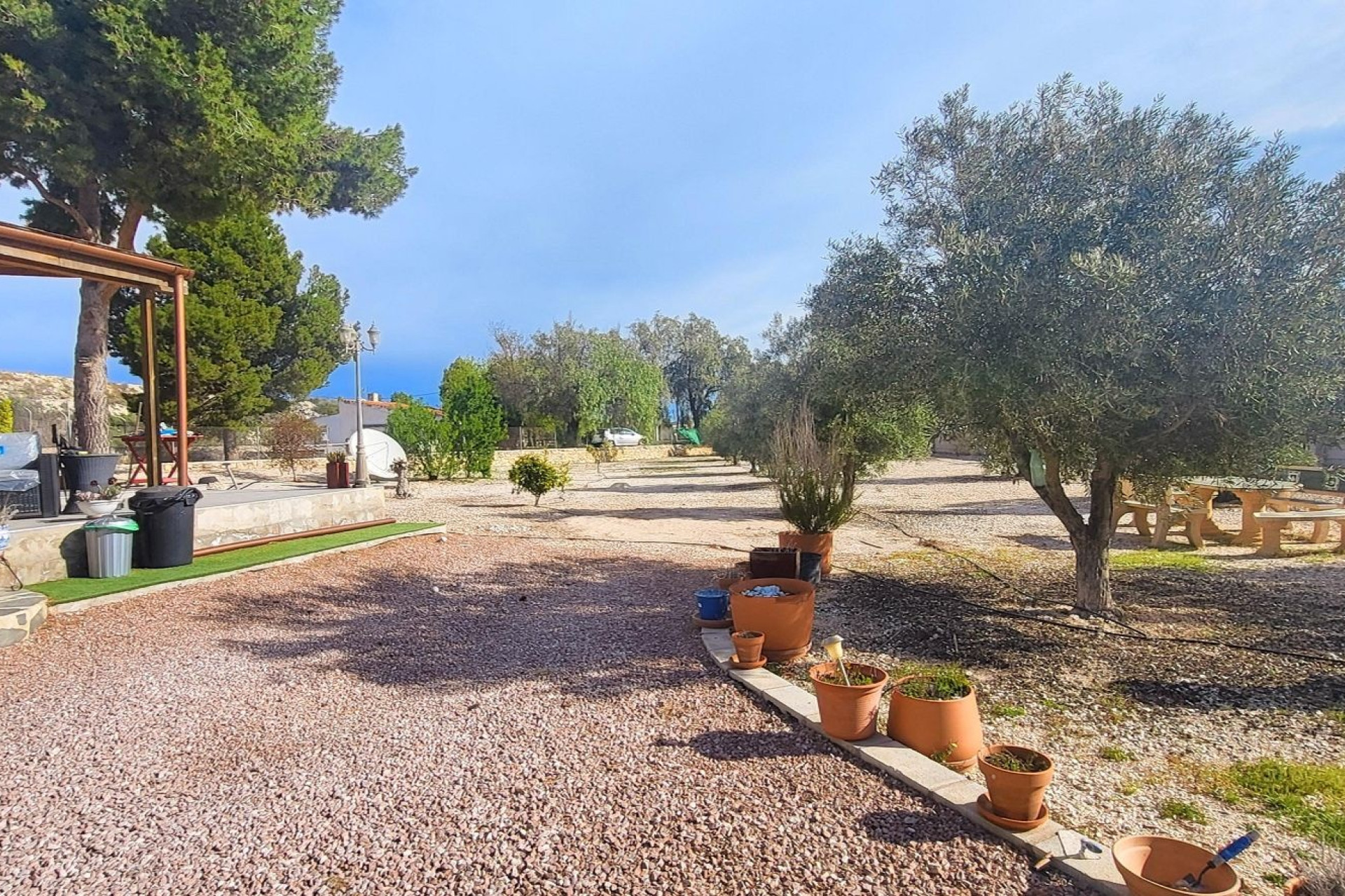 Resale - Finca - Country Property -
Monovar