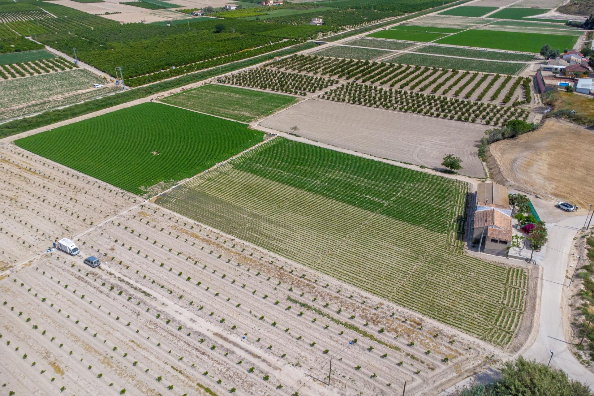 Resale - Finca - Country Property -
Orihuela Costa - Desamparados-hurchillo-torremendo