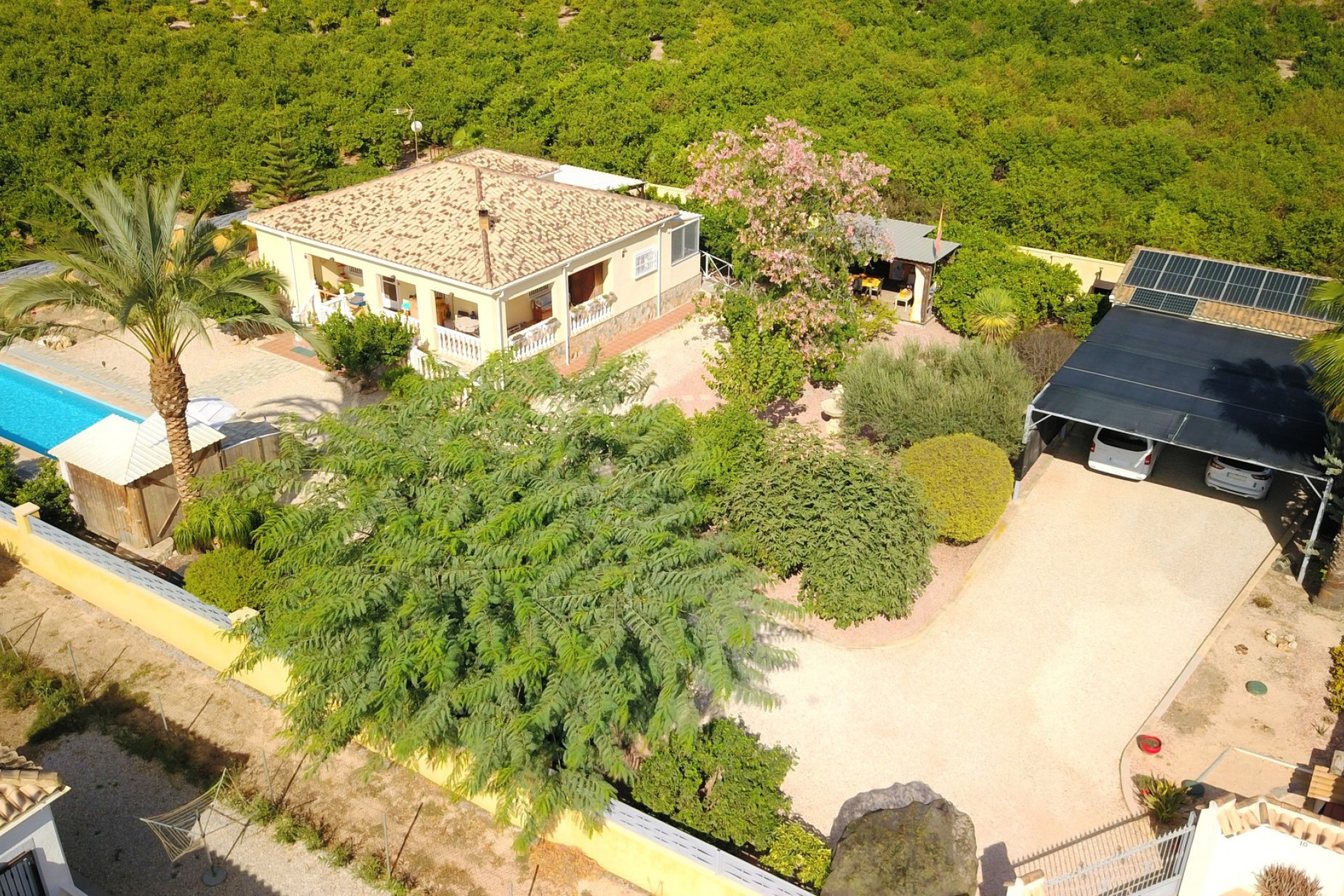 Resale - Finca / Country Property -
Orihuela - La Campaneta