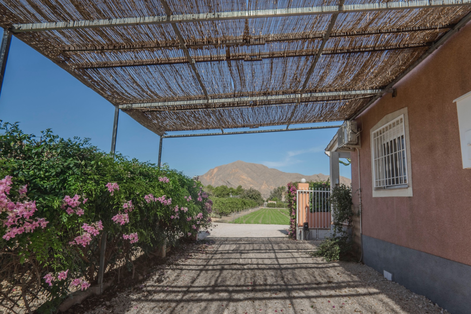 Resale - Finca / Country Property -
Orihuela