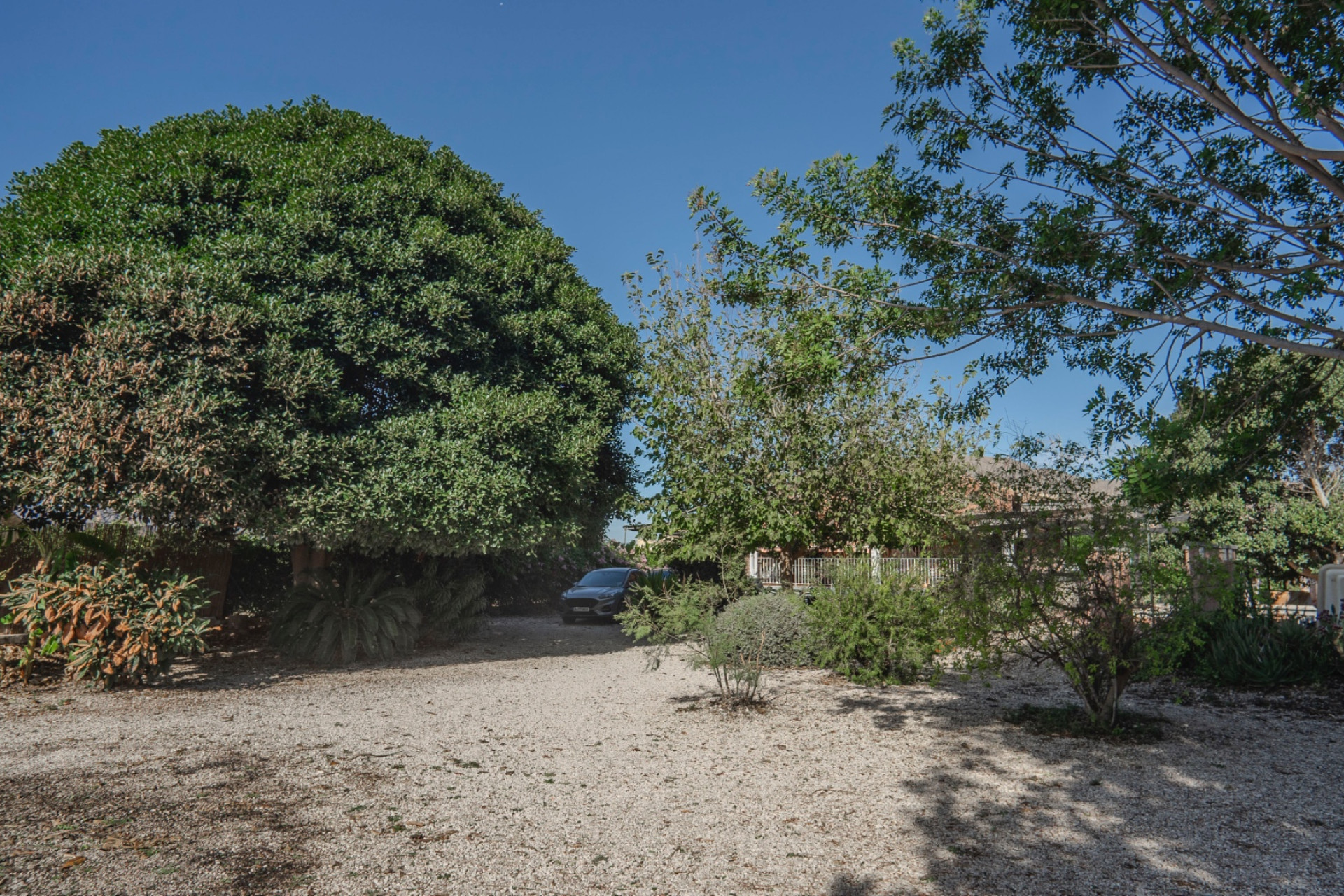 Resale - Finca / Country Property -
Orihuela