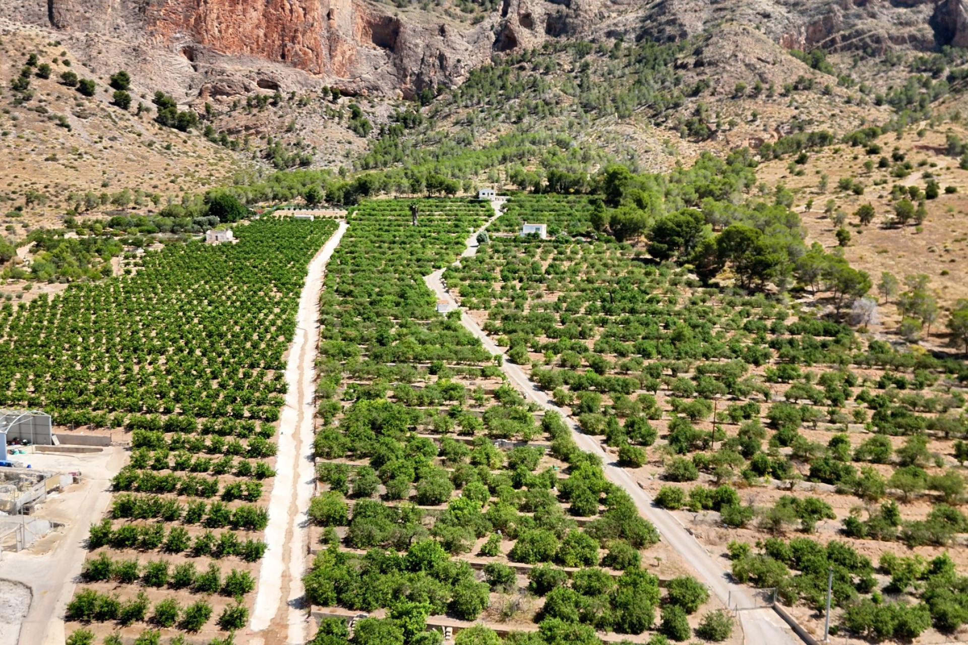 Resale - Finca - Country Property -
Orihuela