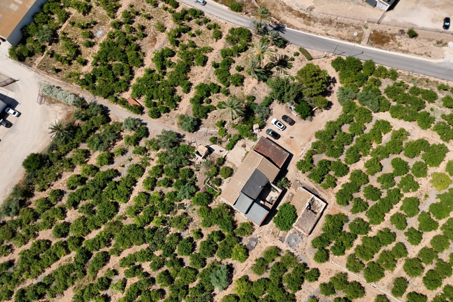 Resale - Finca - Country Property -
Orihuela