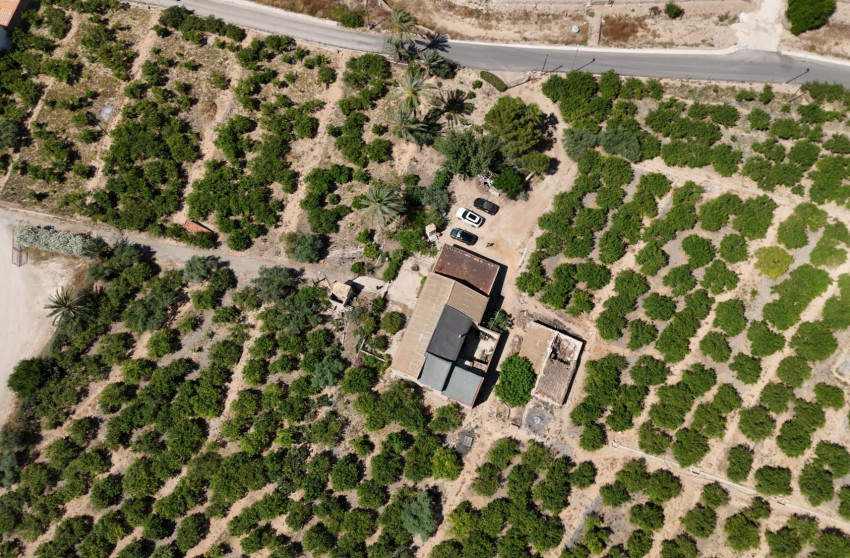 Resale - Finca - Country Property -
Orihuela