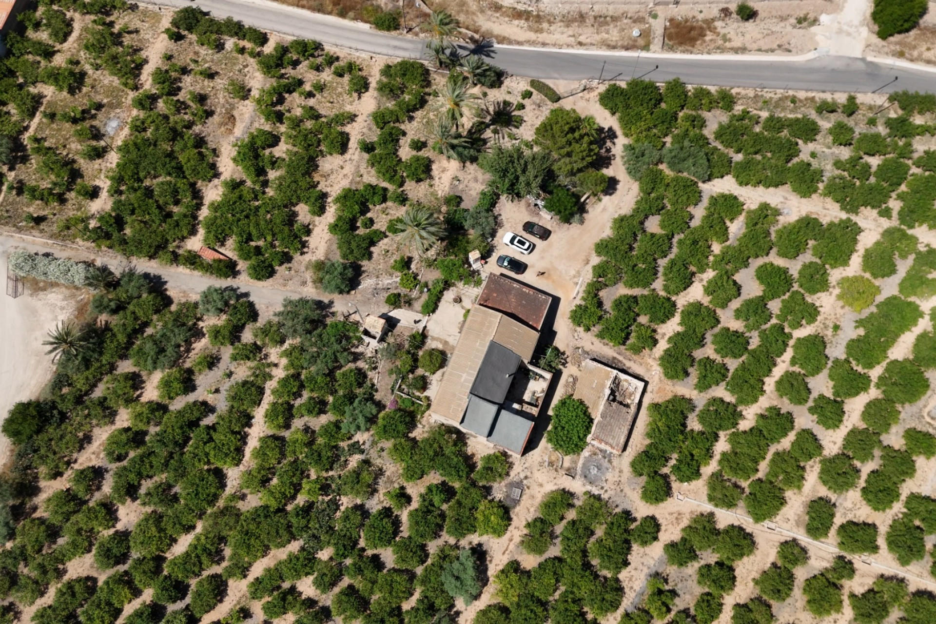 Resale - Finca - Country Property -
Orihuela