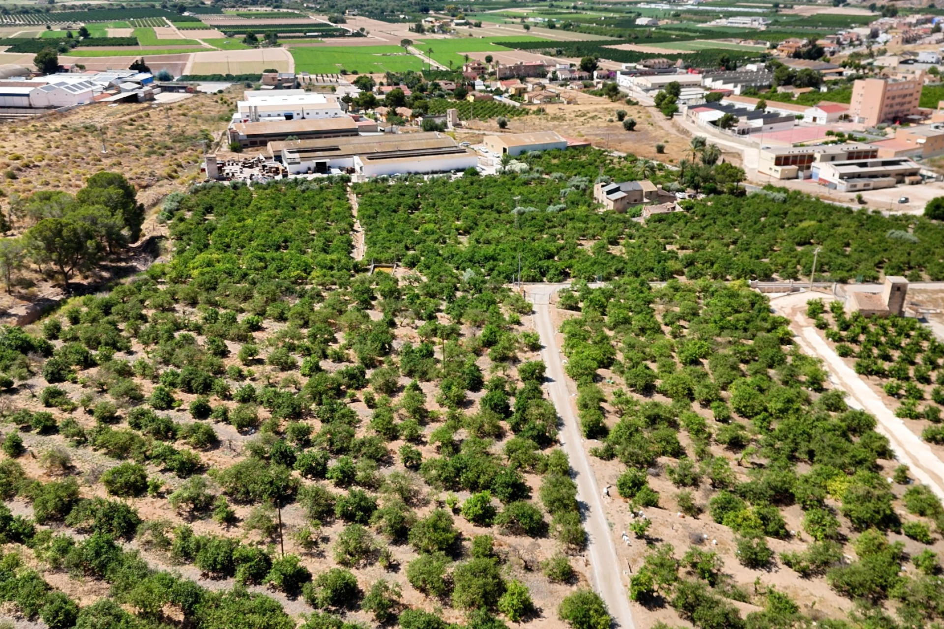 Resale - Finca - Country Property -
Orihuela