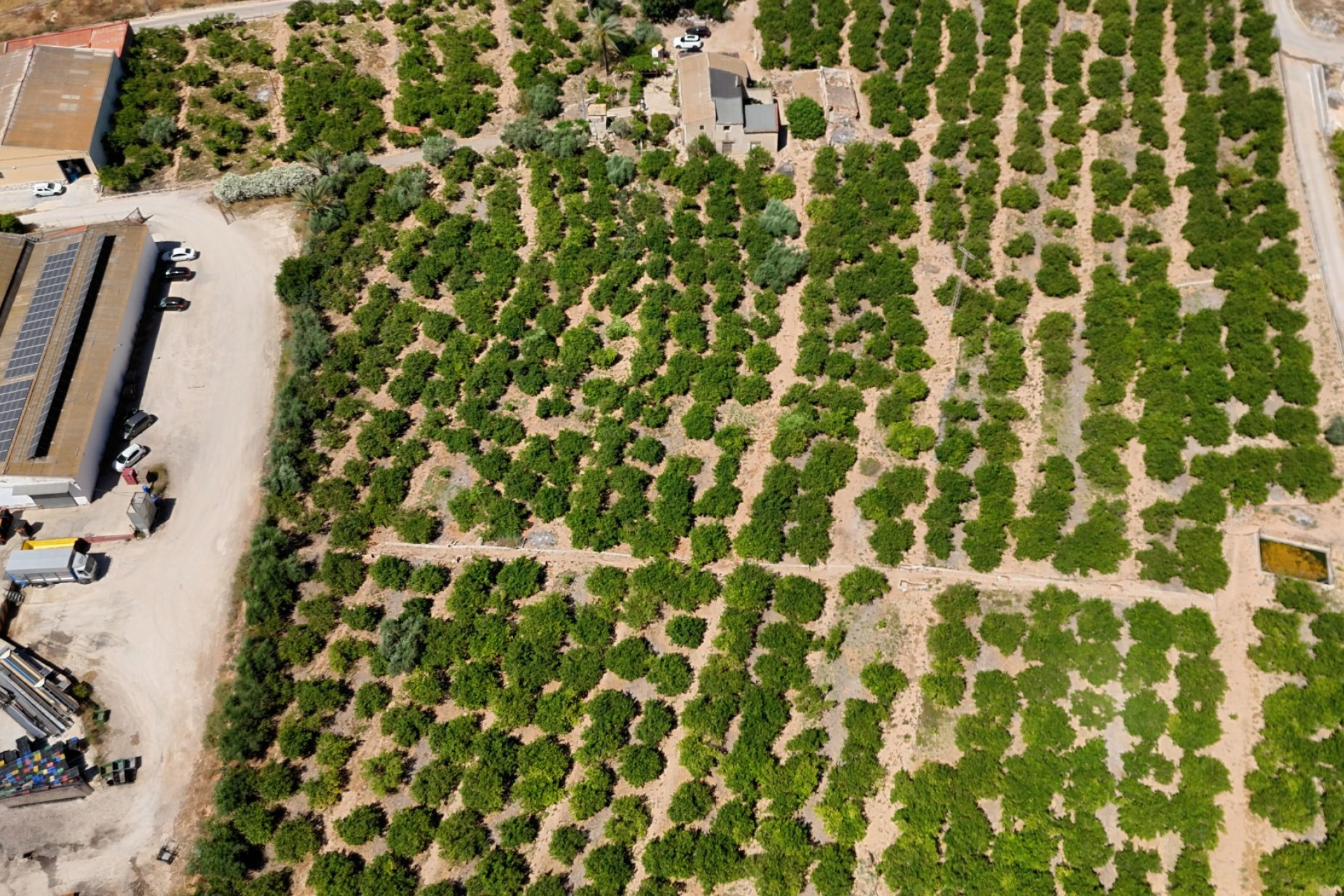 Resale - Finca - Country Property -
Orihuela