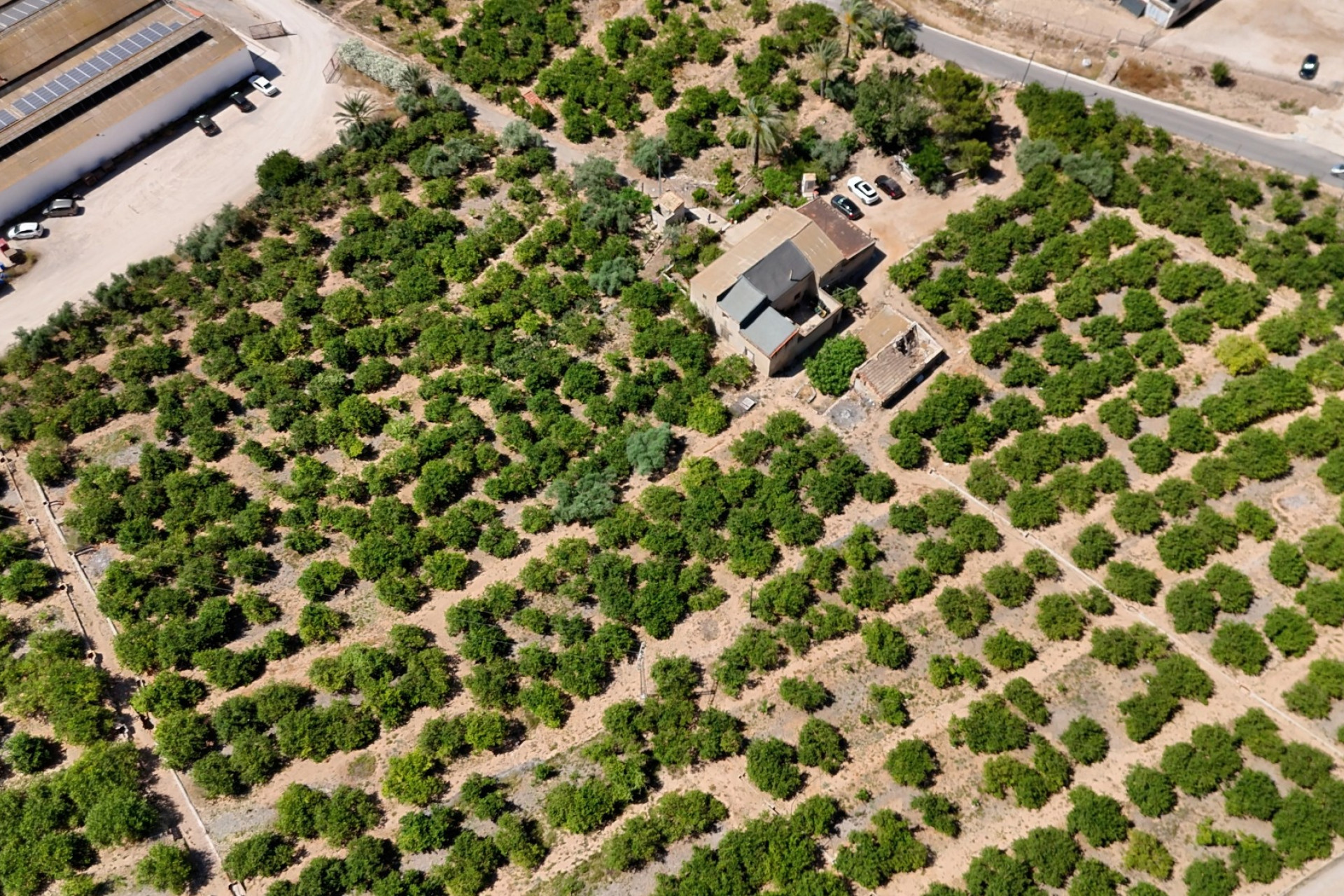 Resale - Finca - Country Property -
Orihuela
