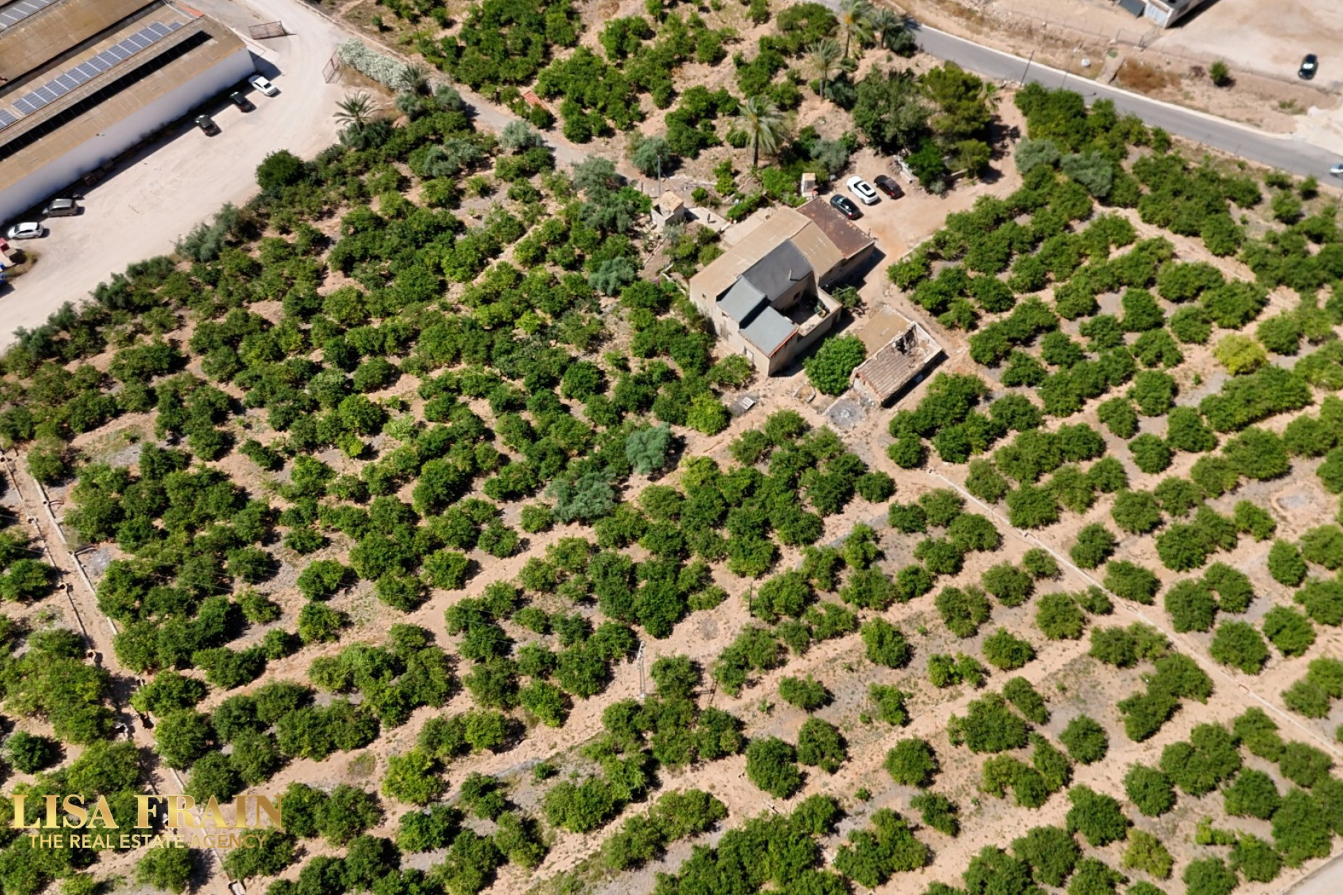 Resale - Finca - Country Property -
Orihuela