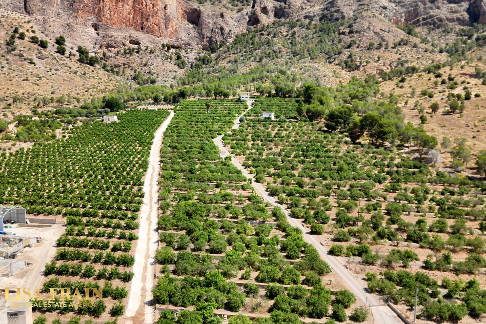 Resale - Finca - Country Property -
Orihuela