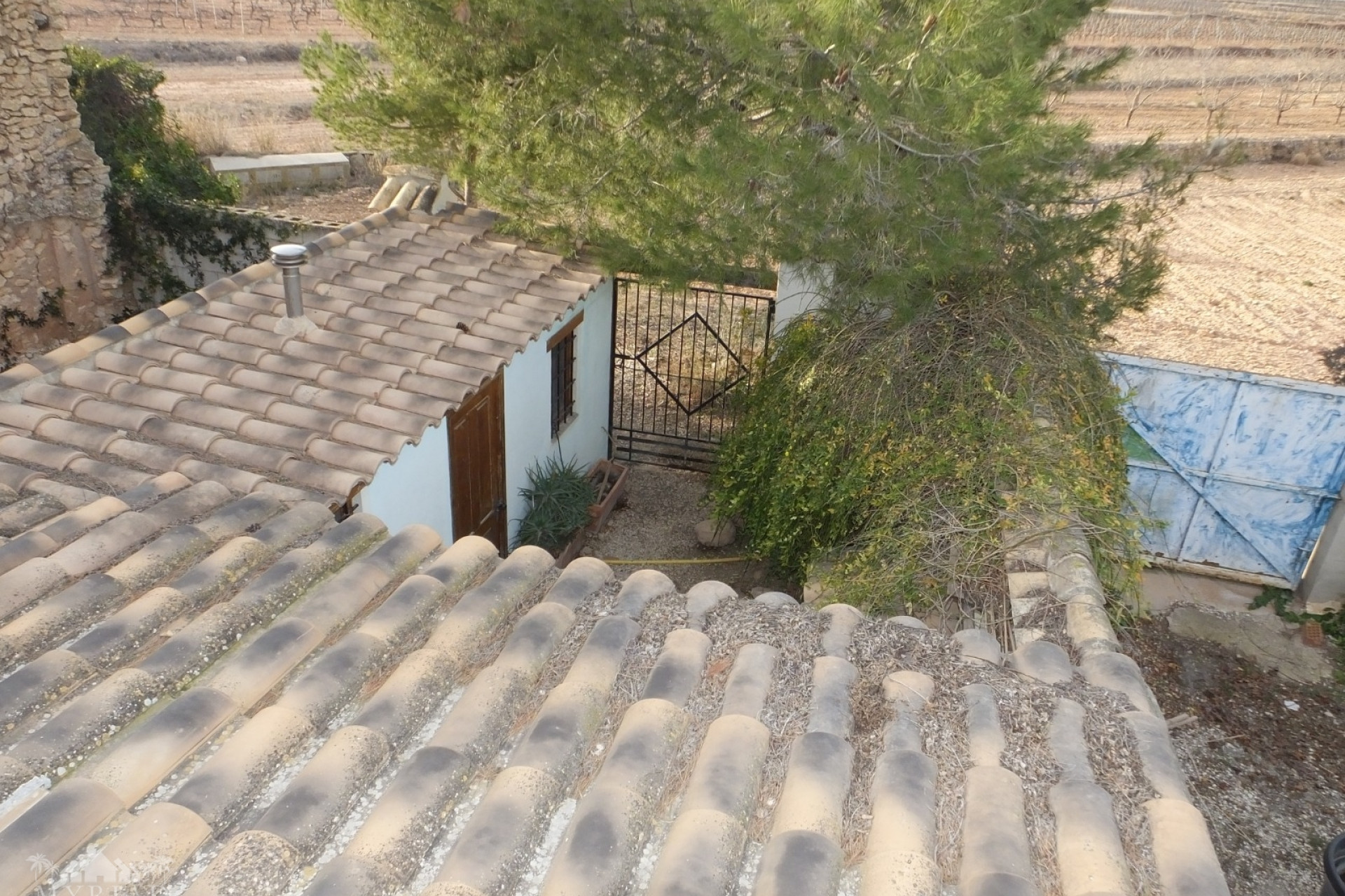 Resale - Finca / Country Property -
Pinoso - Pinoso Alicante