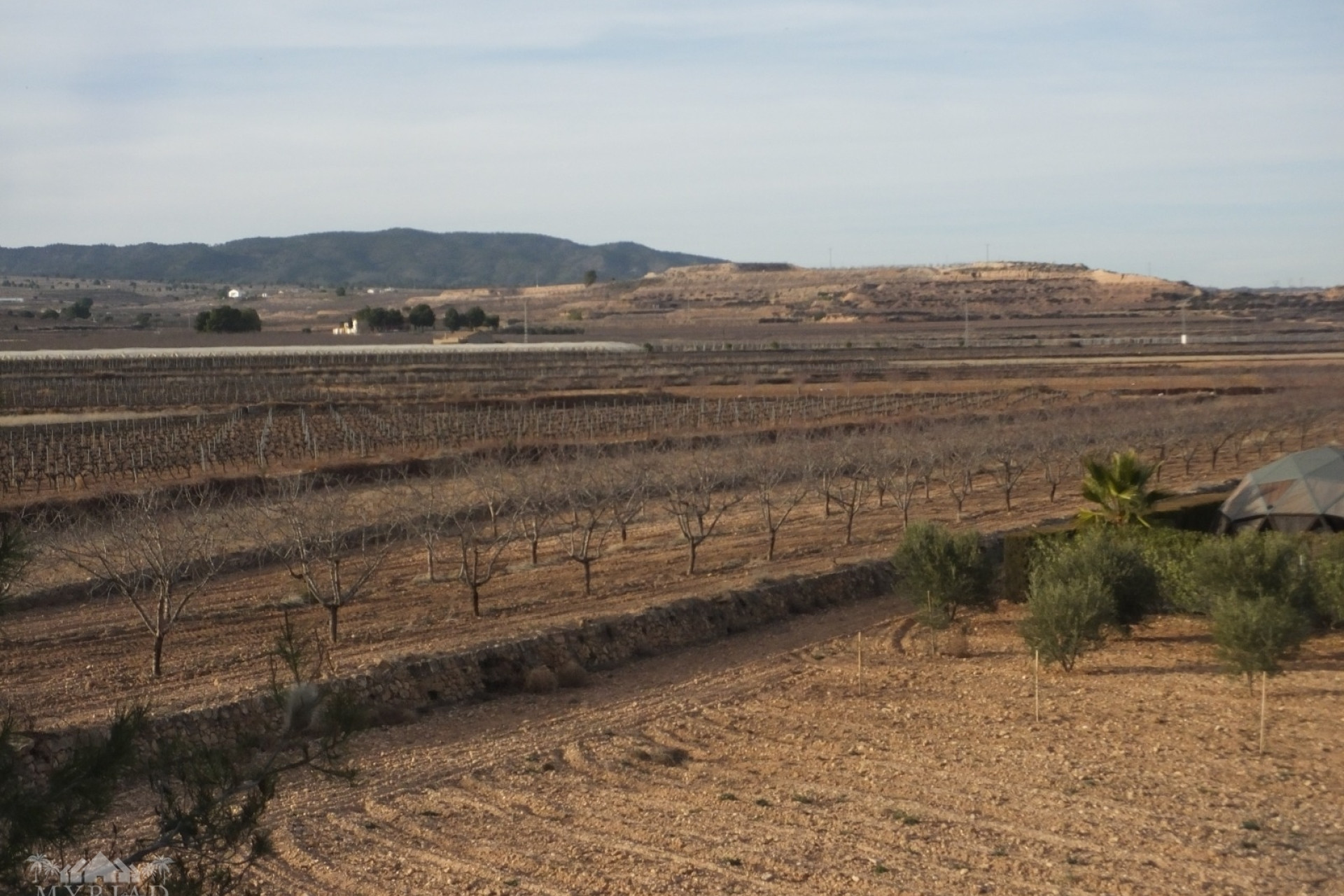 Resale - Finca / Country Property -
Pinoso - Pinoso Alicante