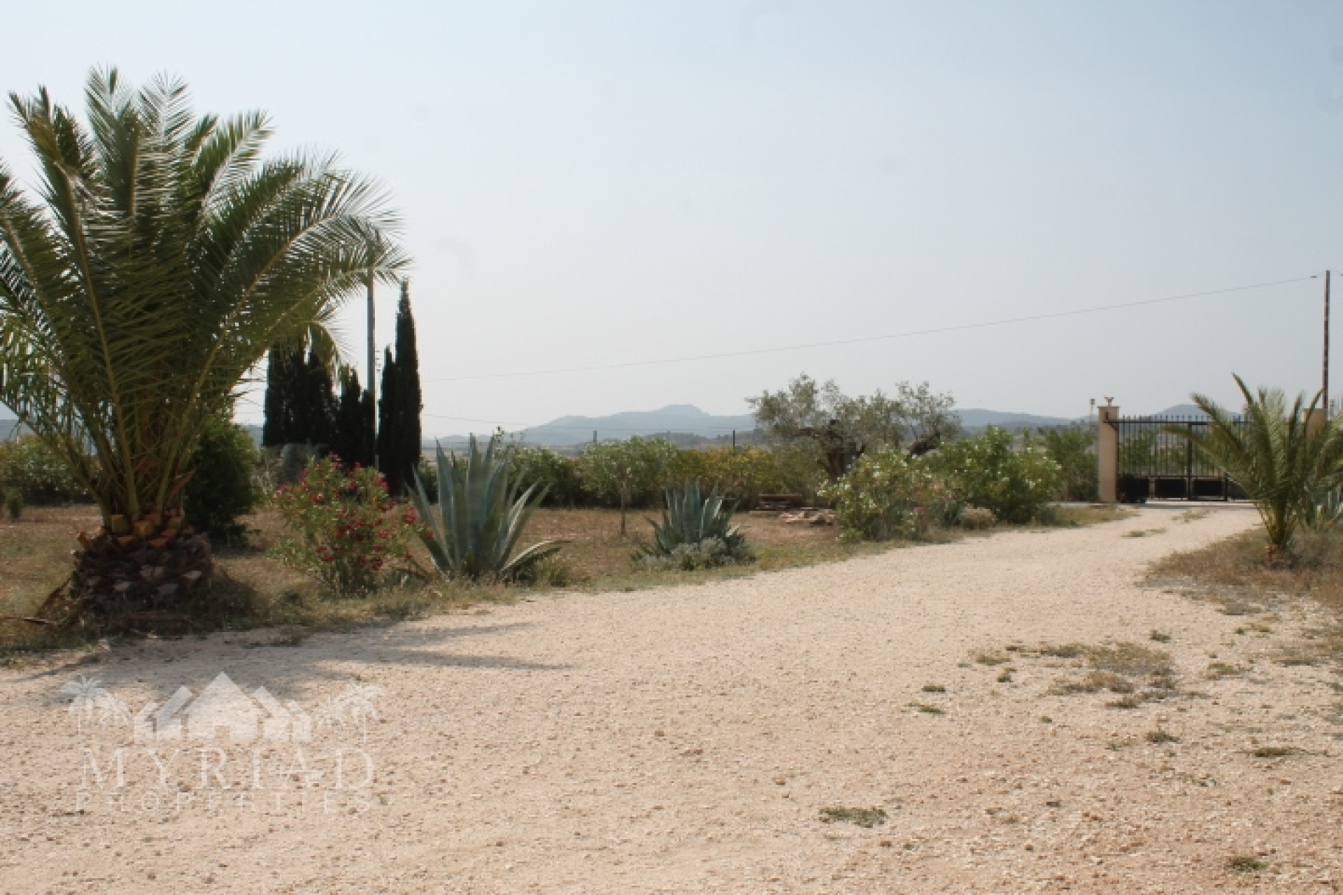 Resale - Finca / Country Property -
Pinoso - Pinoso Alicante