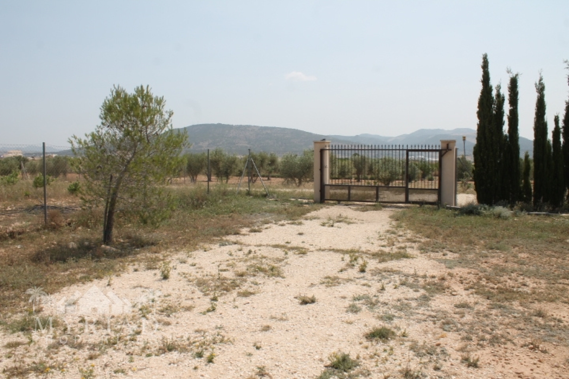 Resale - Finca / Country Property -
Pinoso - Pinoso Alicante