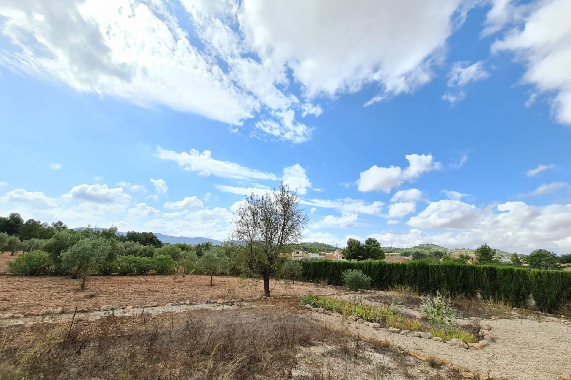 Resale - Finca / Country Property -
Pinoso - PINOSO