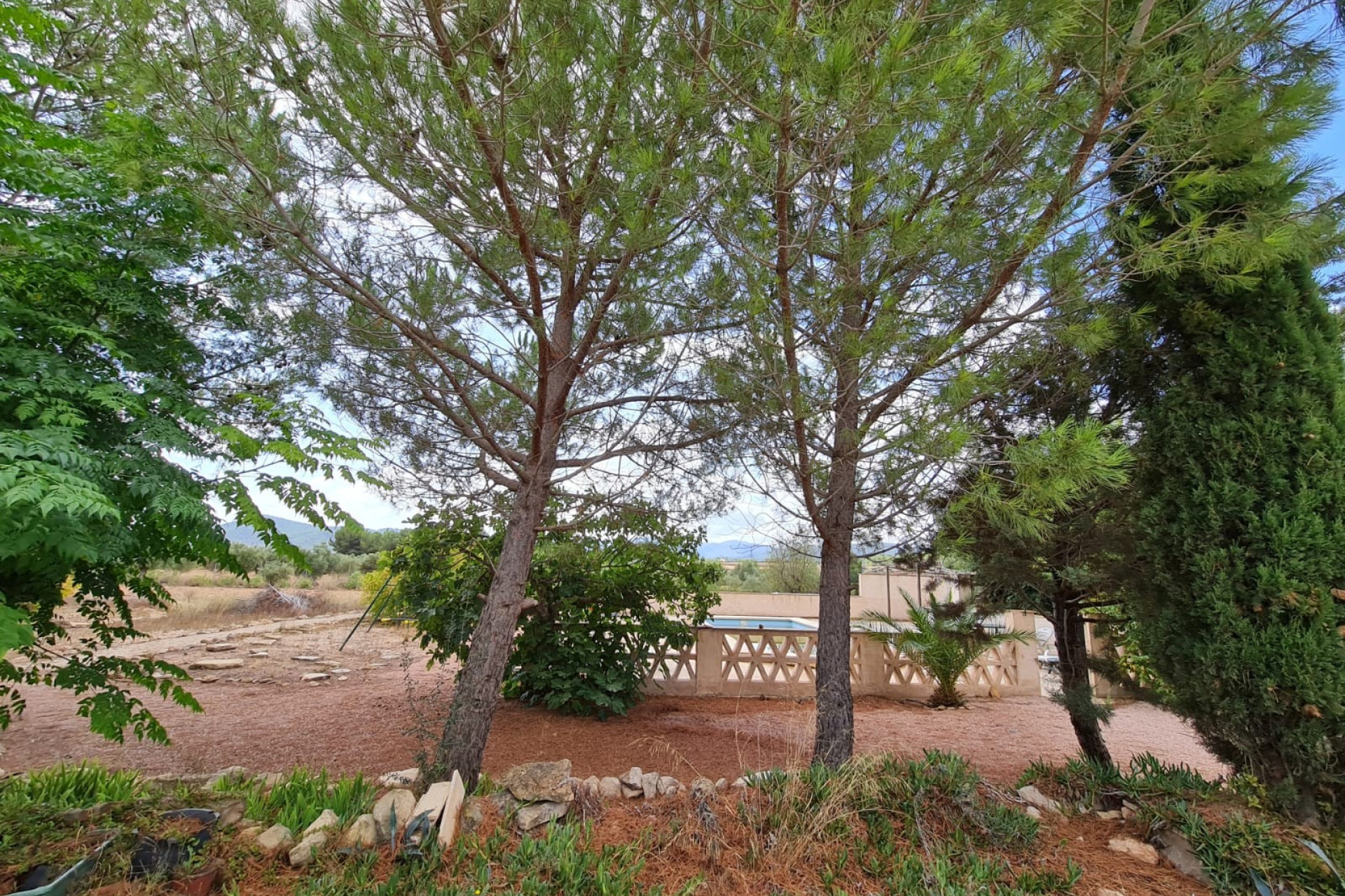 Resale - Finca / Country Property -
Pinoso - PINOSO