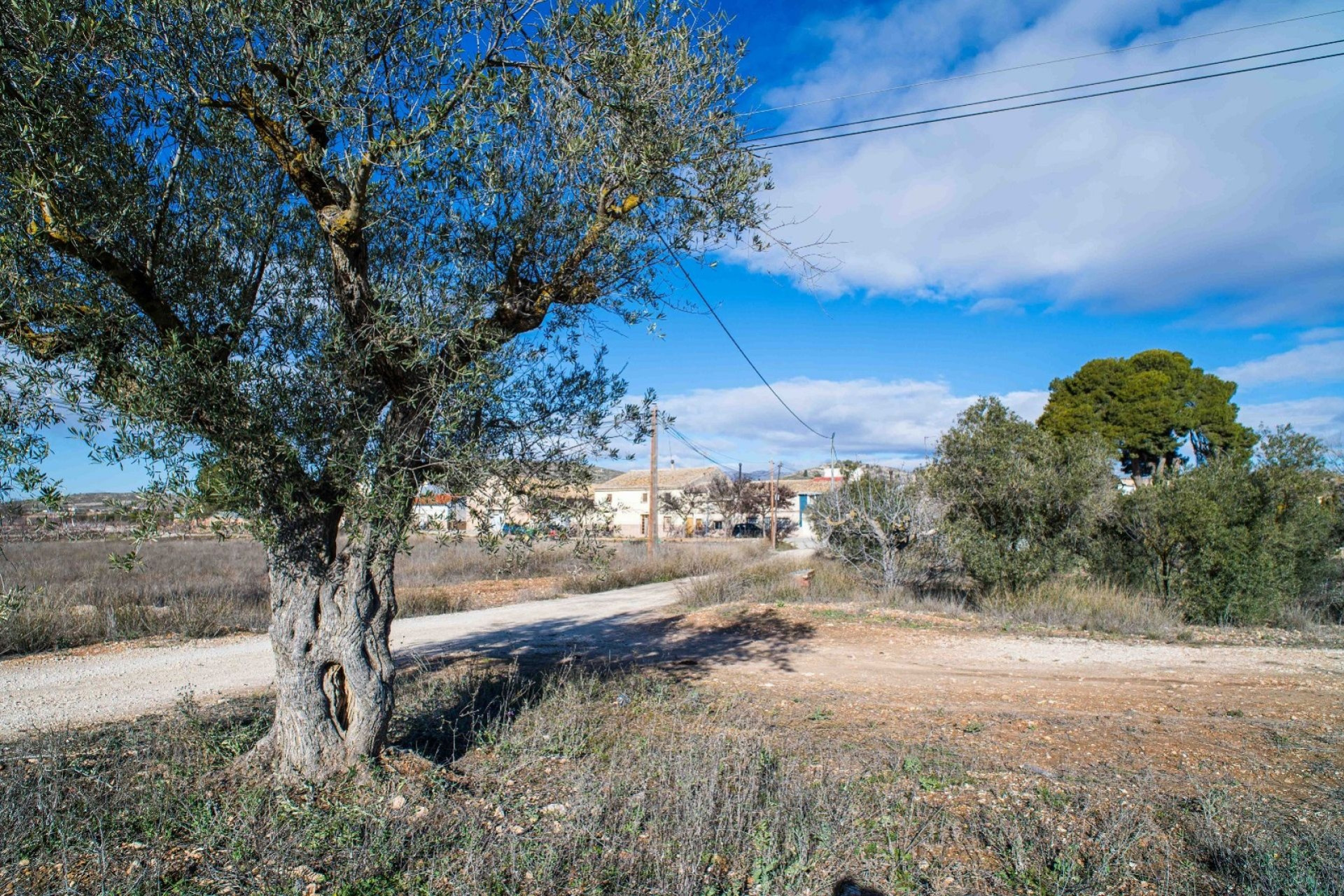 Resale - Finca - Country Property -
Pinoso