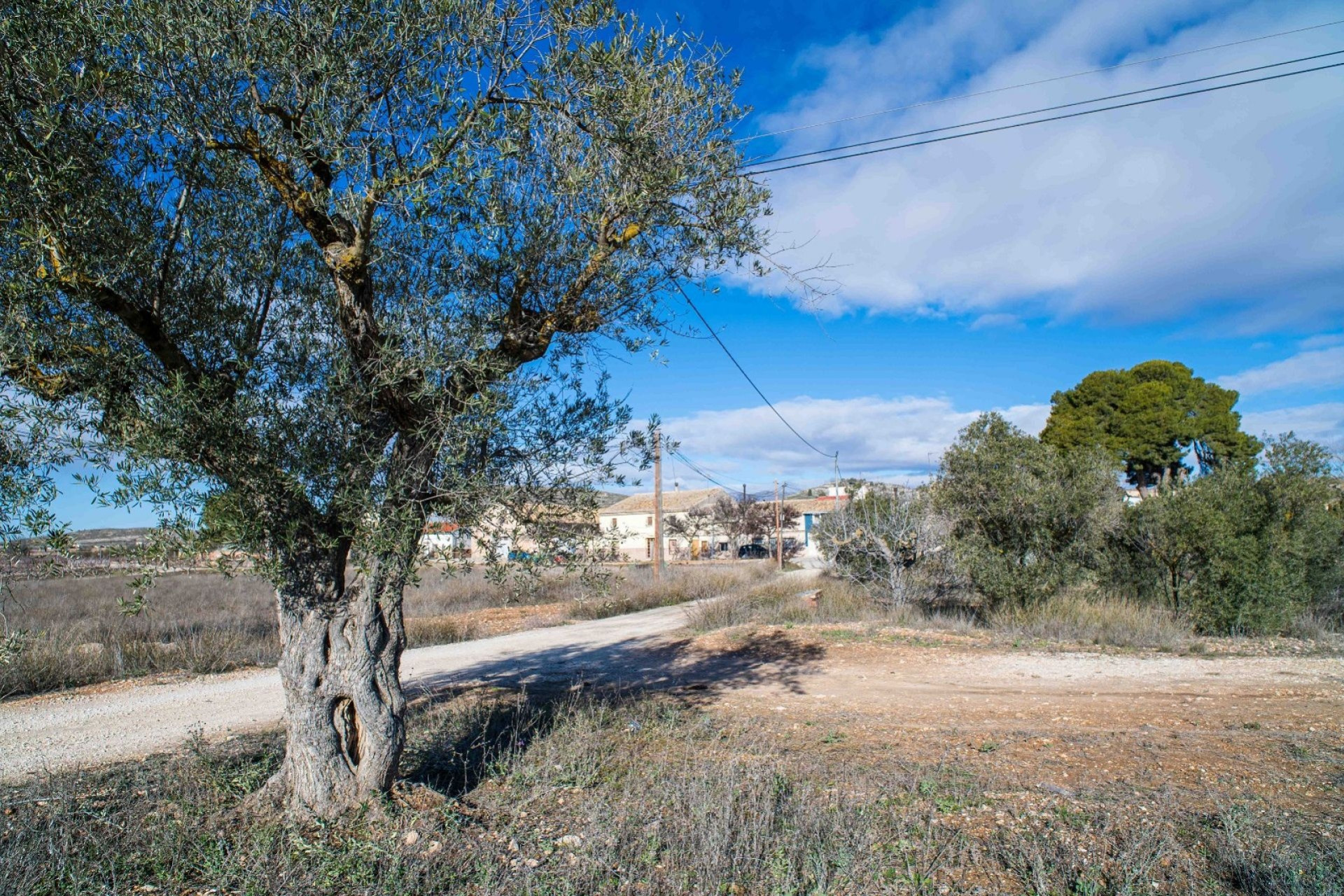 Resale - Finca - Country Property -
Pinoso