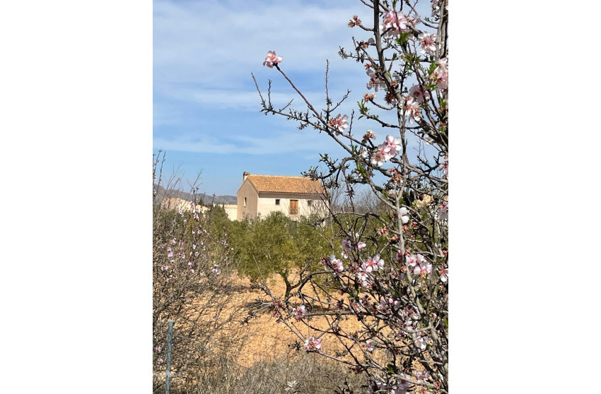 Resale - Finca / Country Property -
Raspay - Raspay Murcia