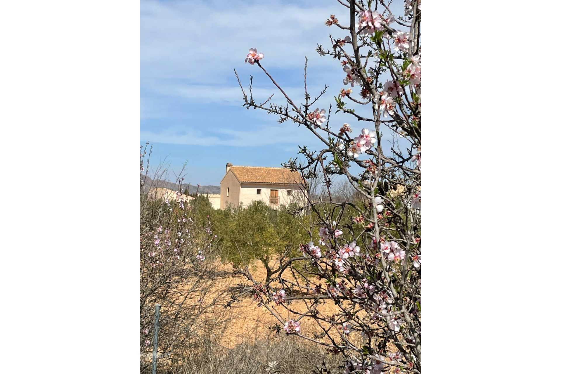 Resale - Finca / Country Property -
Raspay - Raspay Murcia