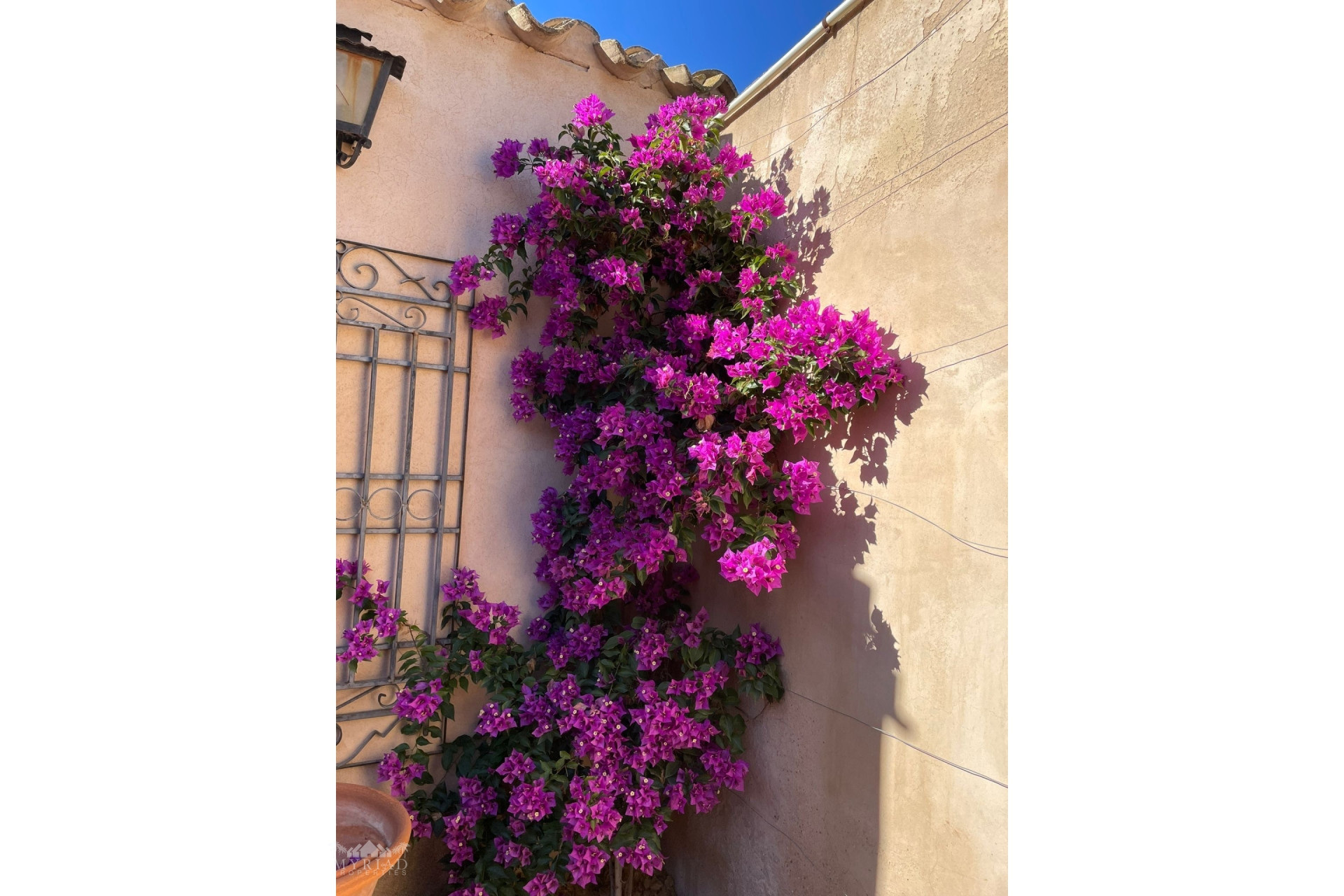 Resale - Finca / Country Property -
Raspay - Raspay Murcia