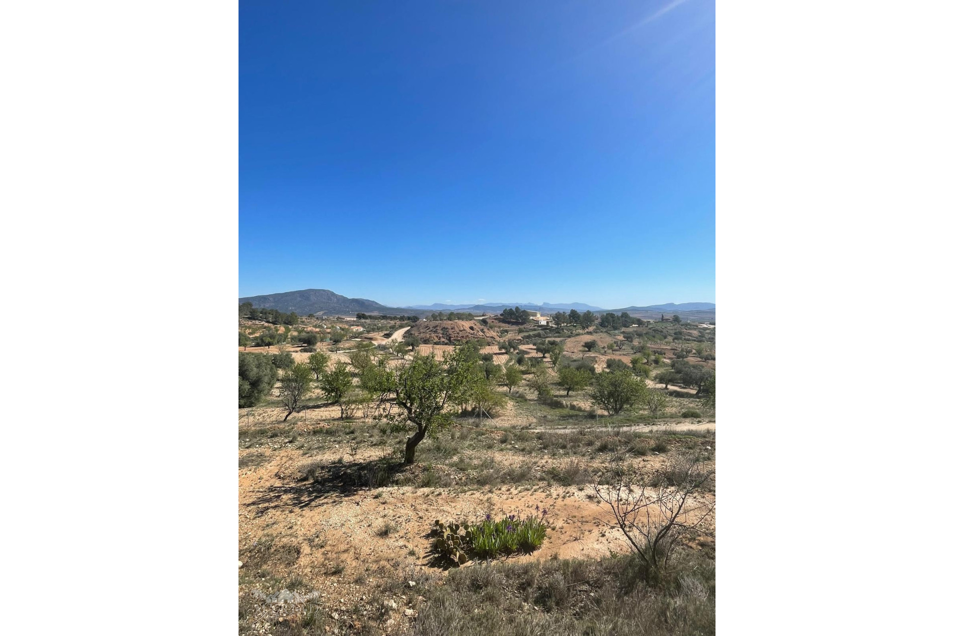 Resale - Finca - Country Property -
Raspay - Raspay Murcia