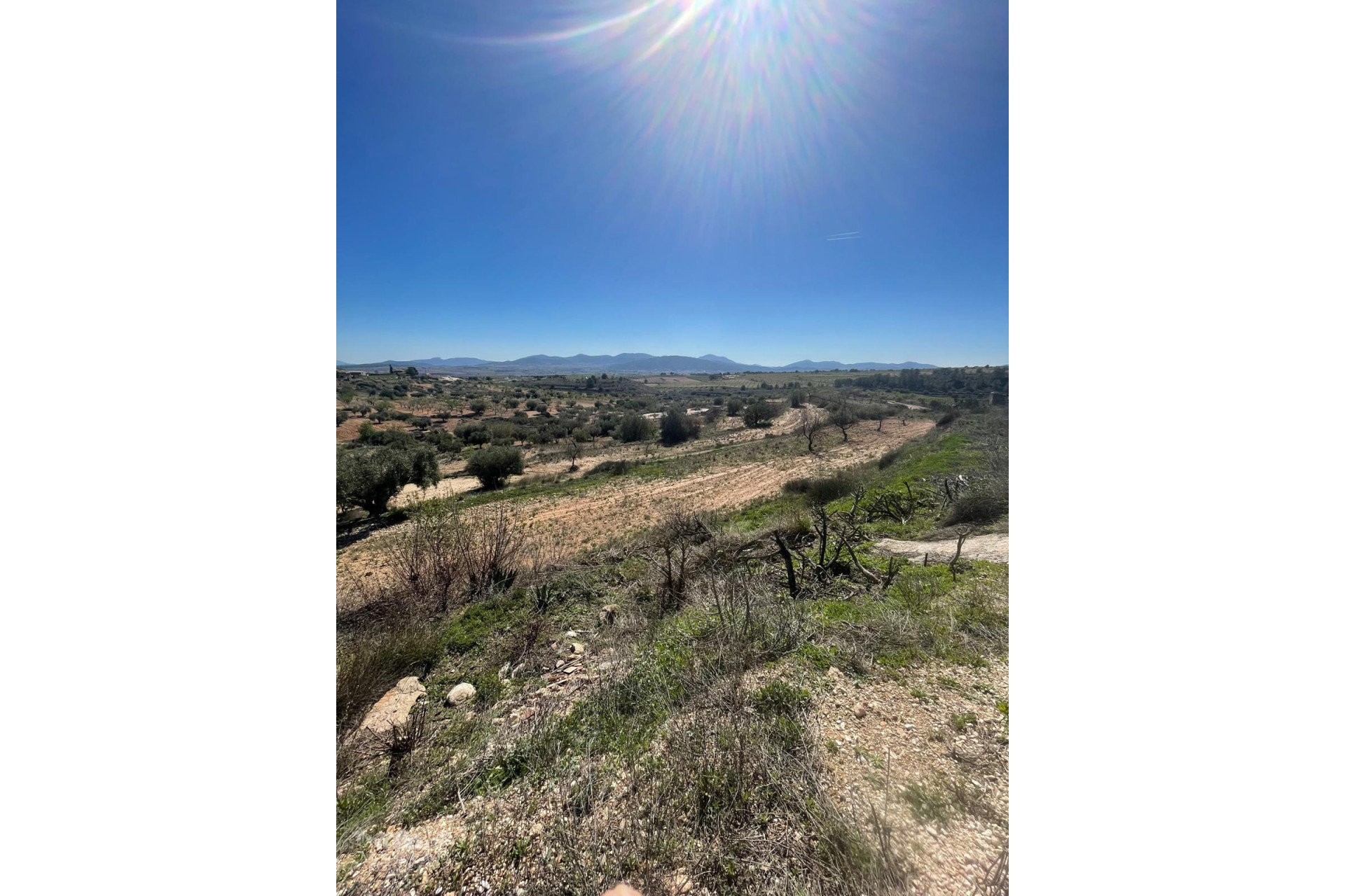 Resale - Finca - Country Property -
Raspay - Raspay Murcia