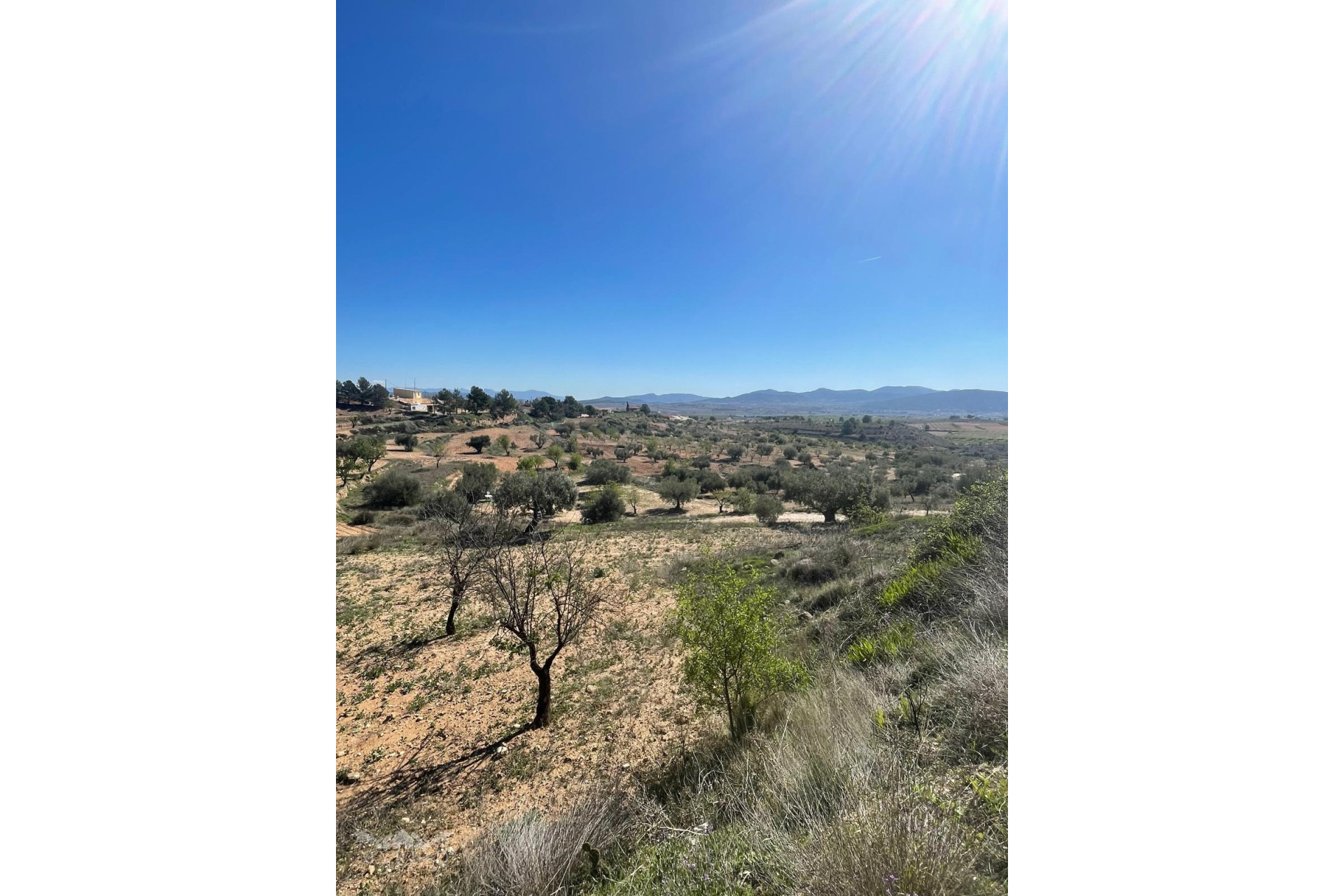 Resale - Finca - Country Property -
Raspay - Raspay Murcia