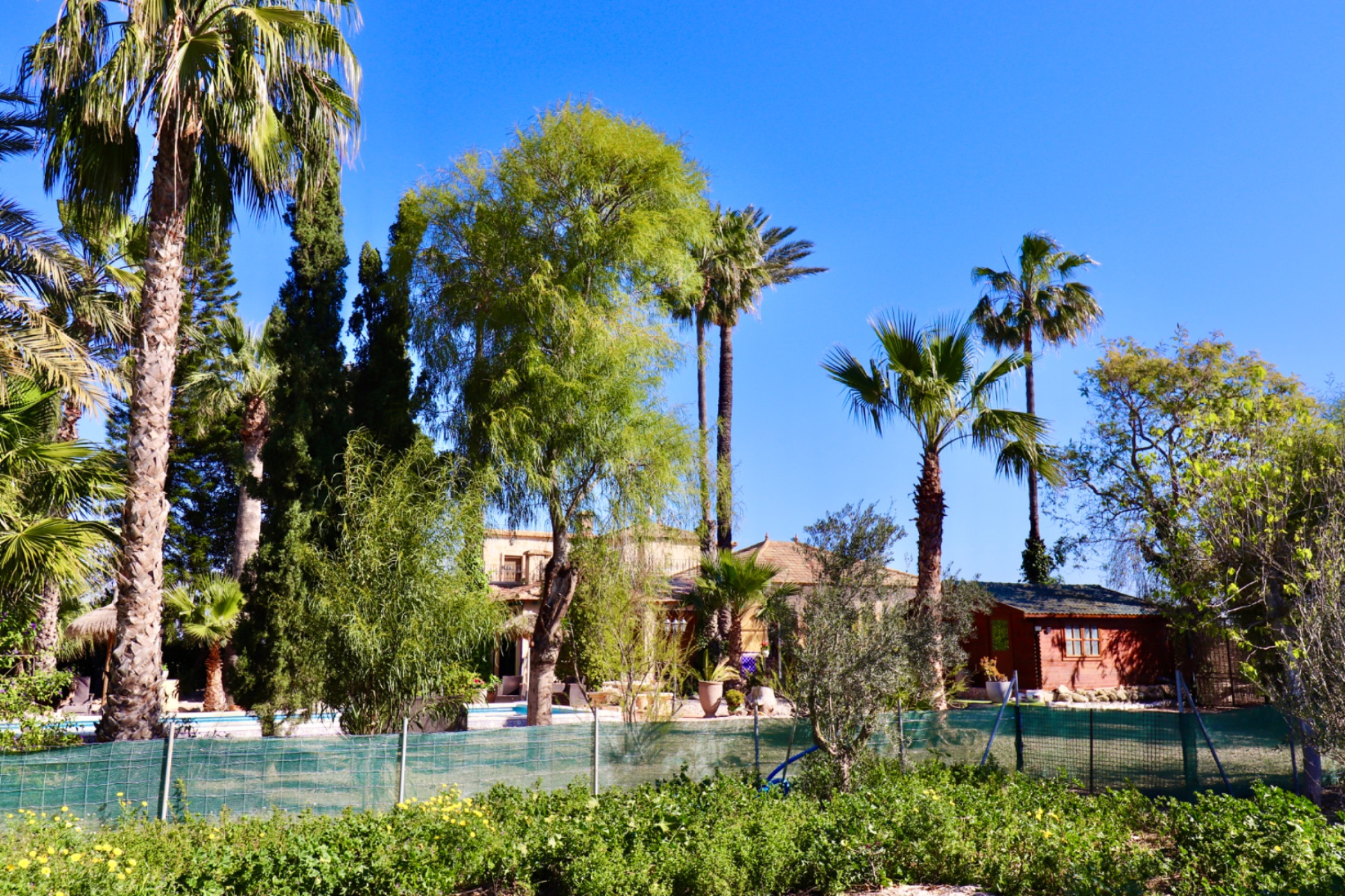 Resale - Finca - Country Property -
Rojales - Heredades