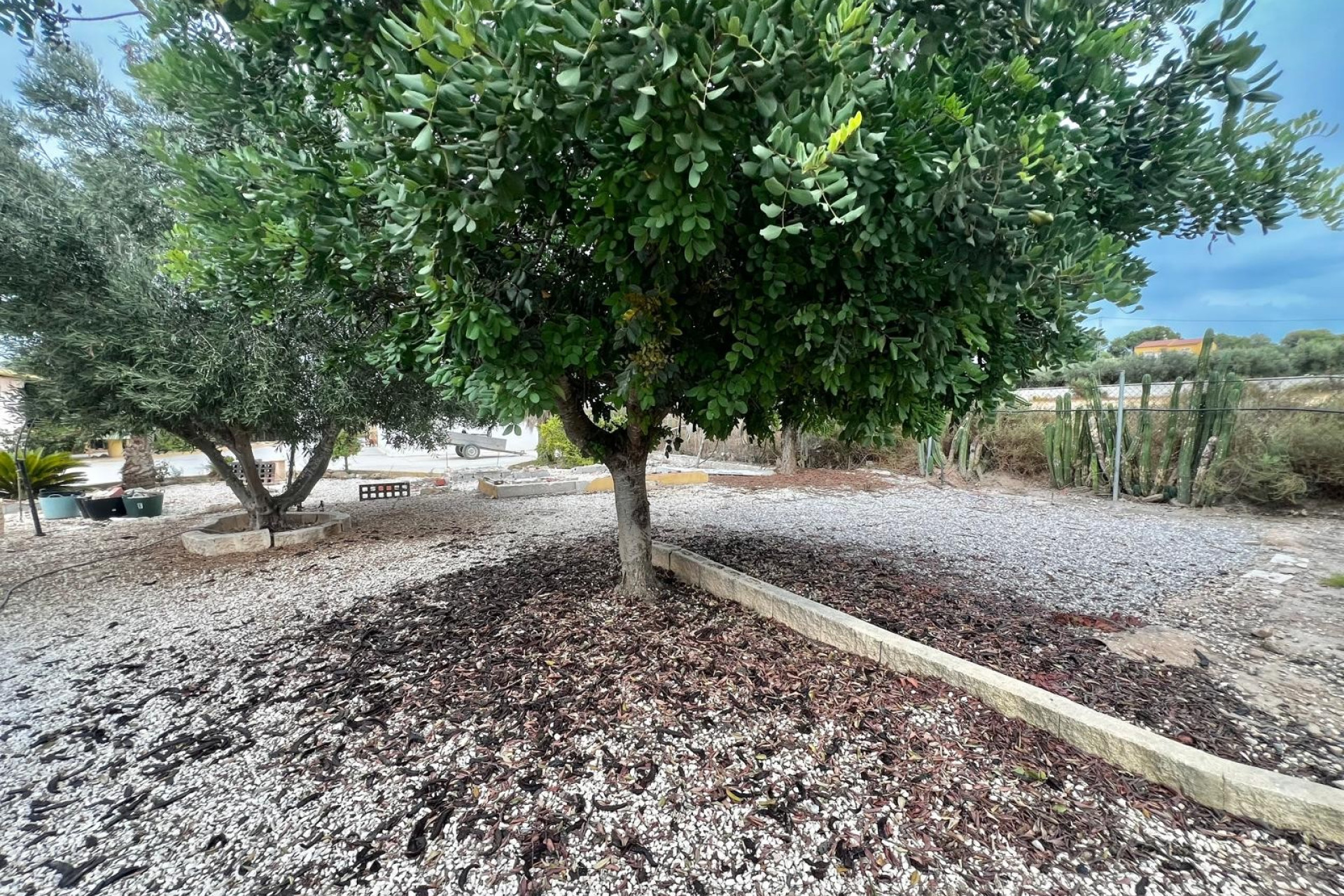 Resale - Finca - Country Property -
San Fulgencio - San Fulgencio - Country