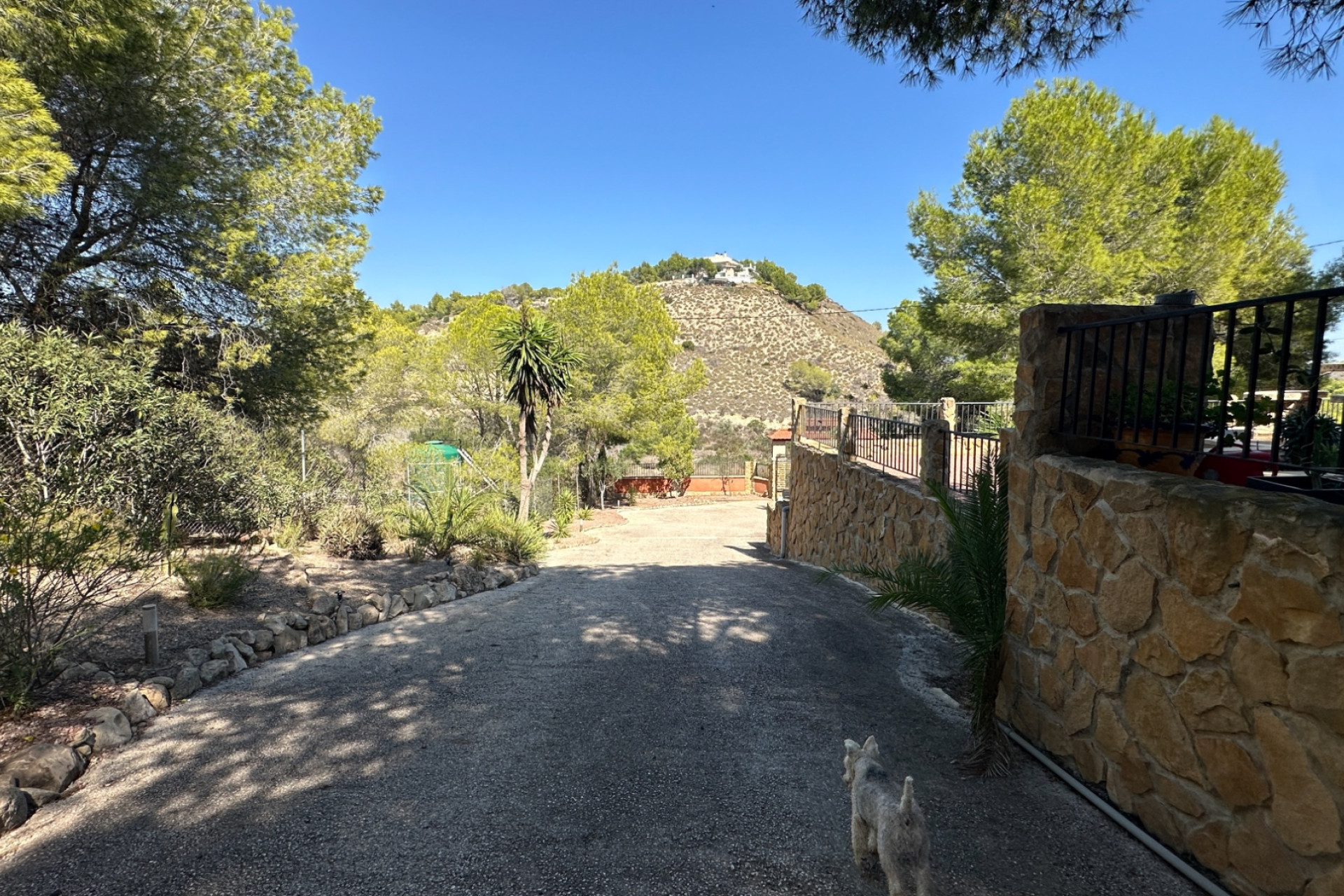 Resale - Finca - Country Property -
San Miguel de Salinas - Inland