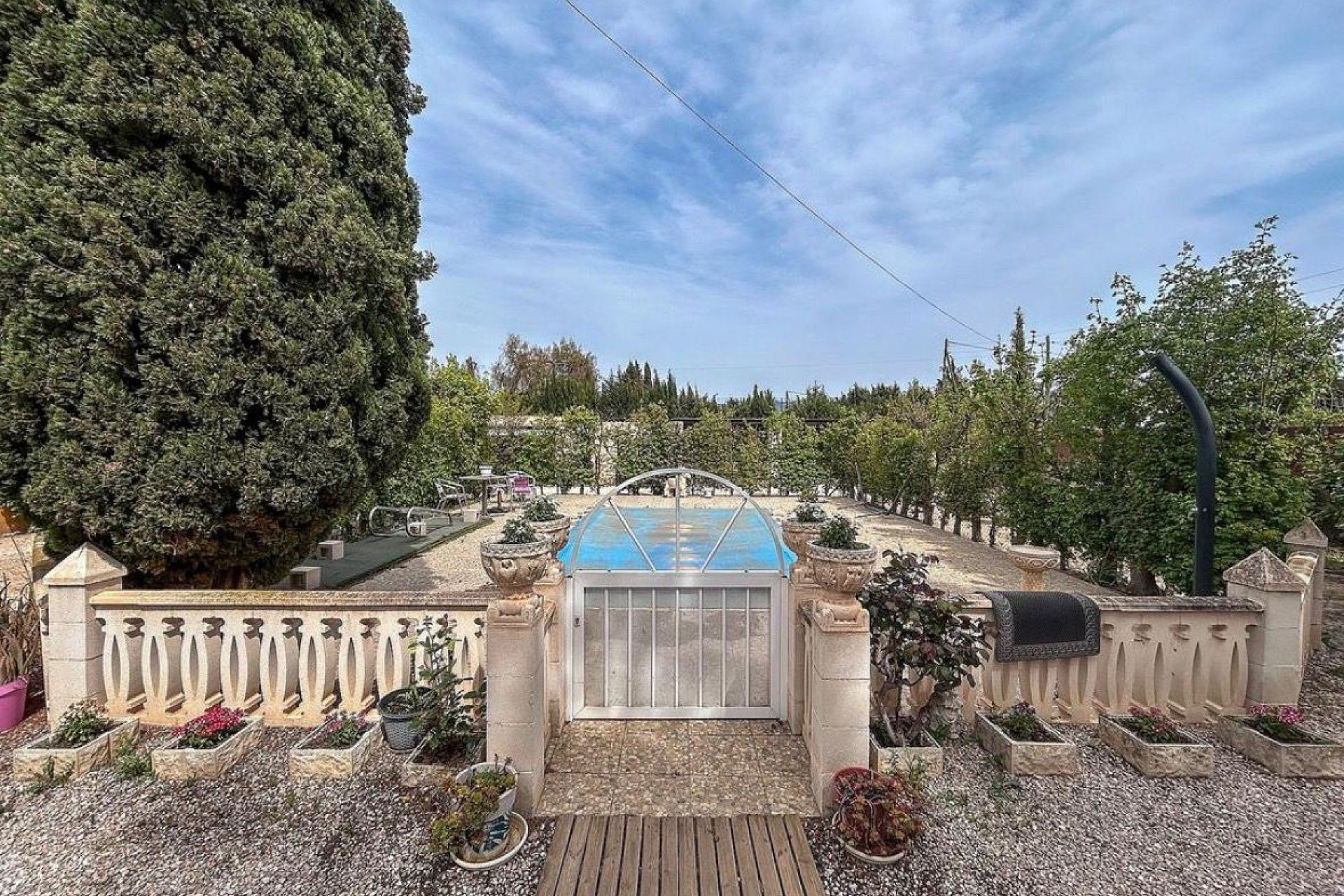 Resale - Finca / Country Property -
Sax