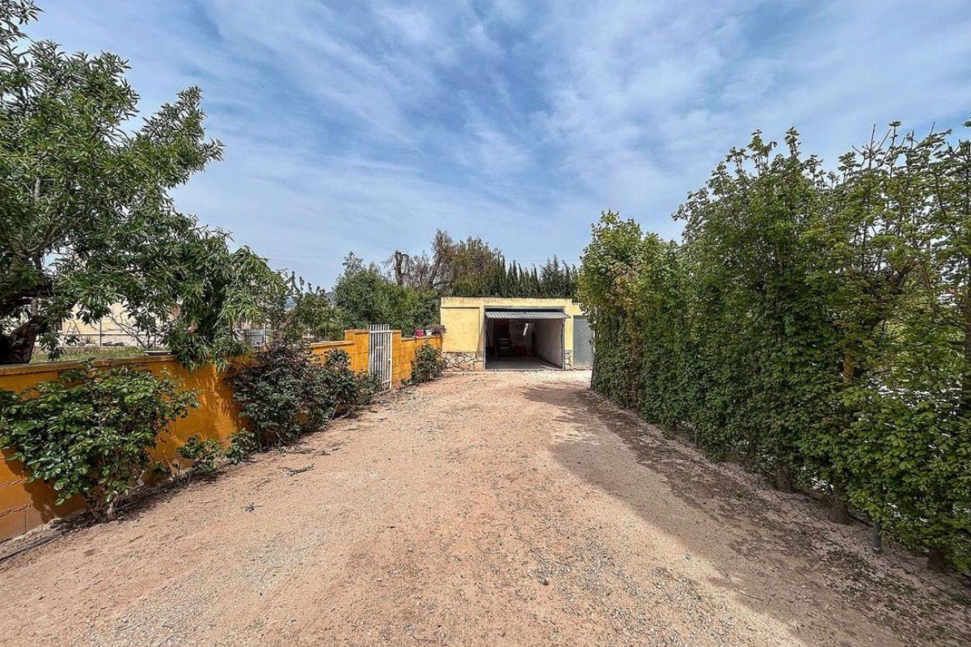 Resale - Finca / Country Property -
Sax