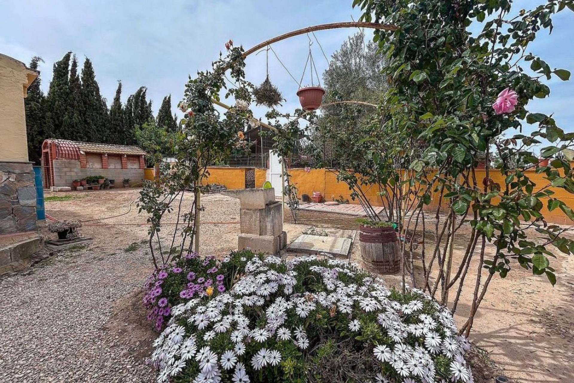 Resale - Finca / Country Property -
Sax