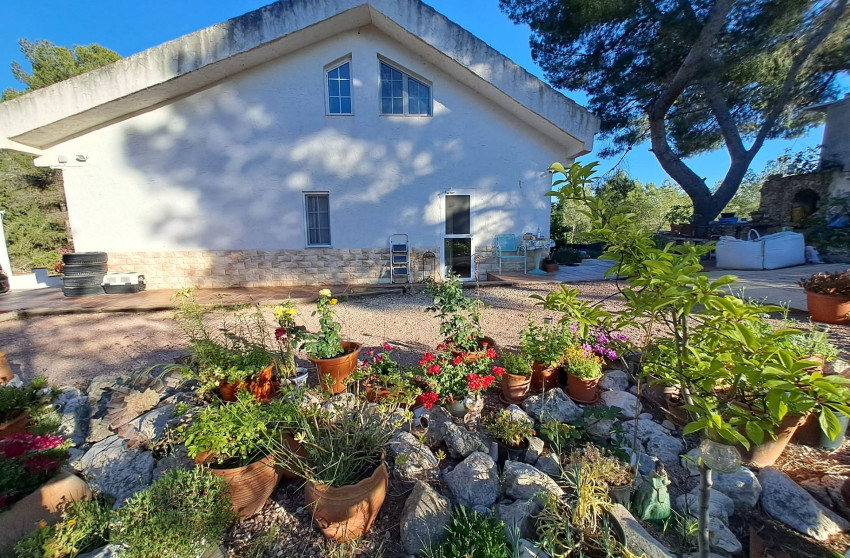 Resale - Finca - Country Property -
Sax