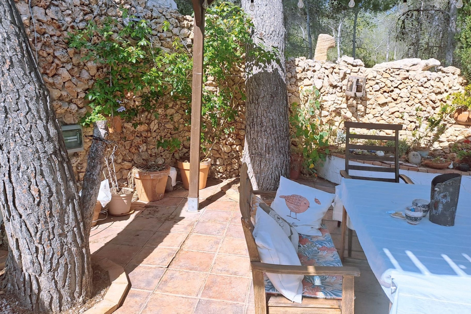 Resale - Finca - Country Property -
Sax