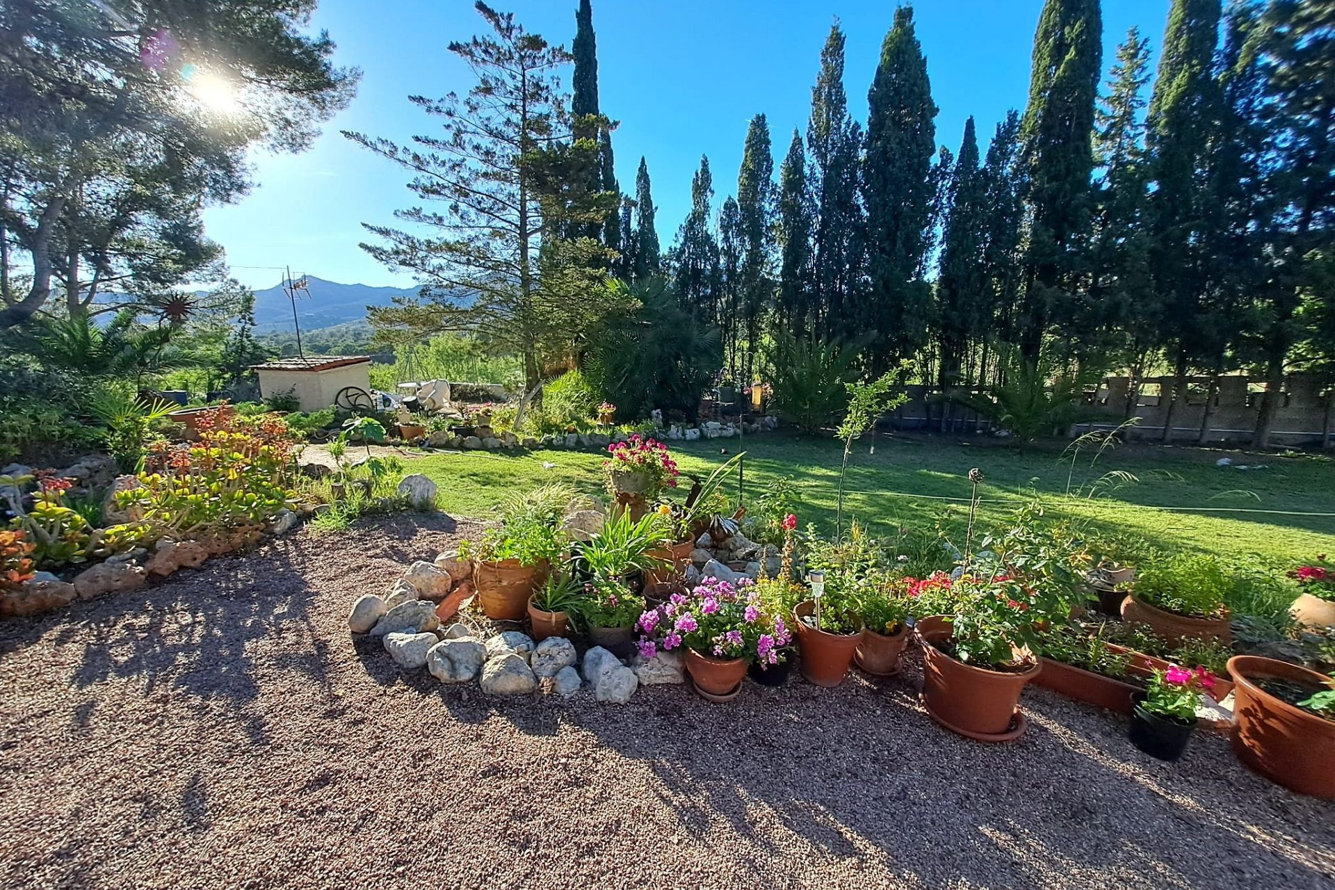 Resale - Finca - Country Property -
Sax
