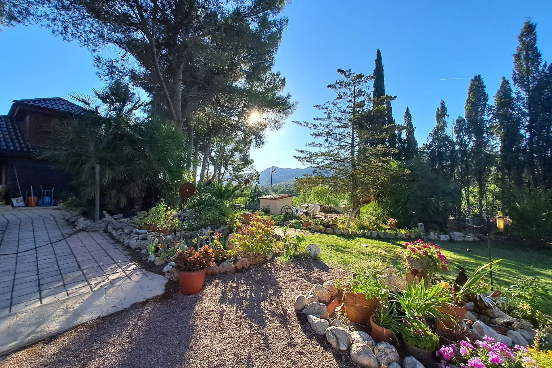 Resale - Finca - Country Property -
Sax