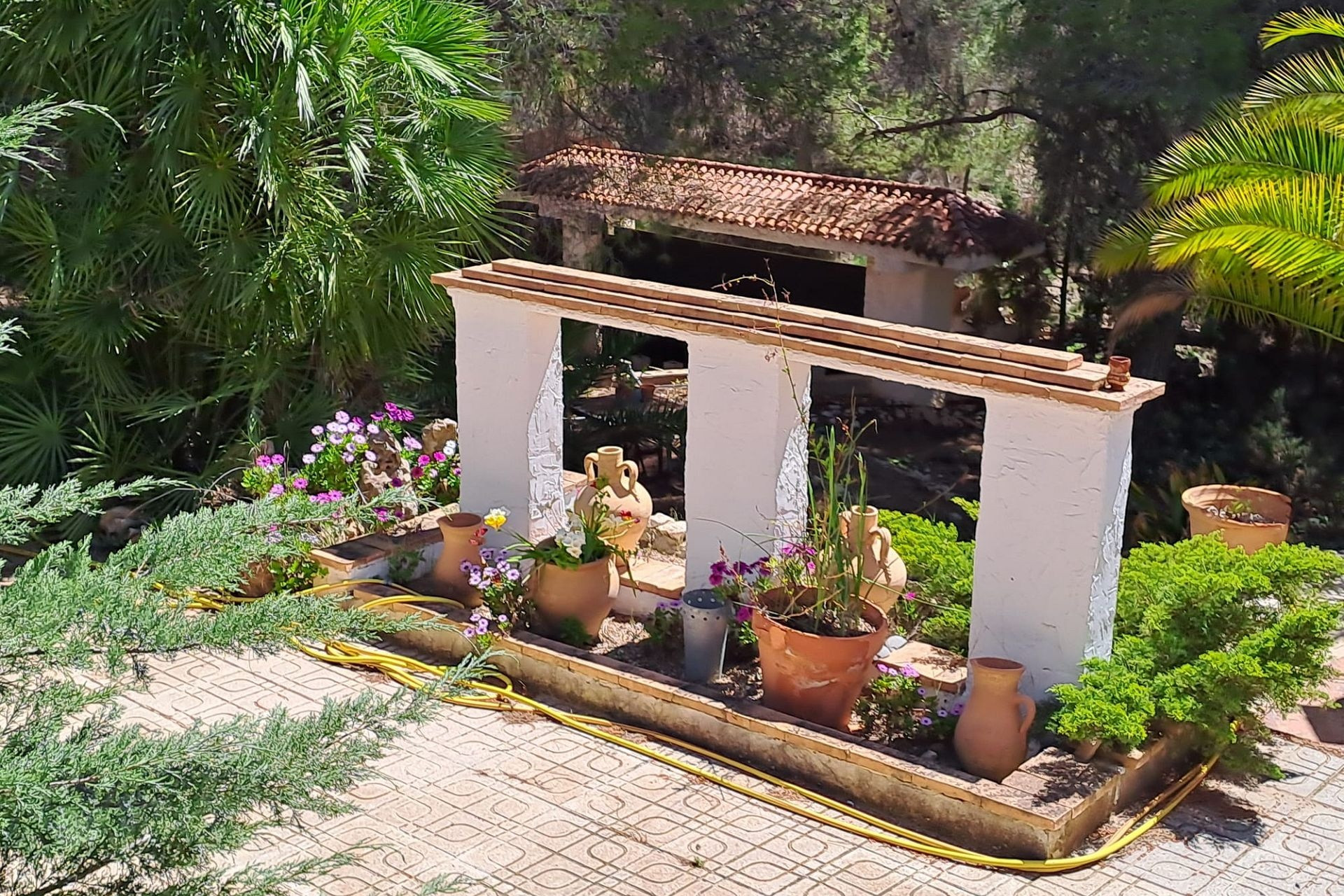 Resale - Finca - Country Property -
Sax