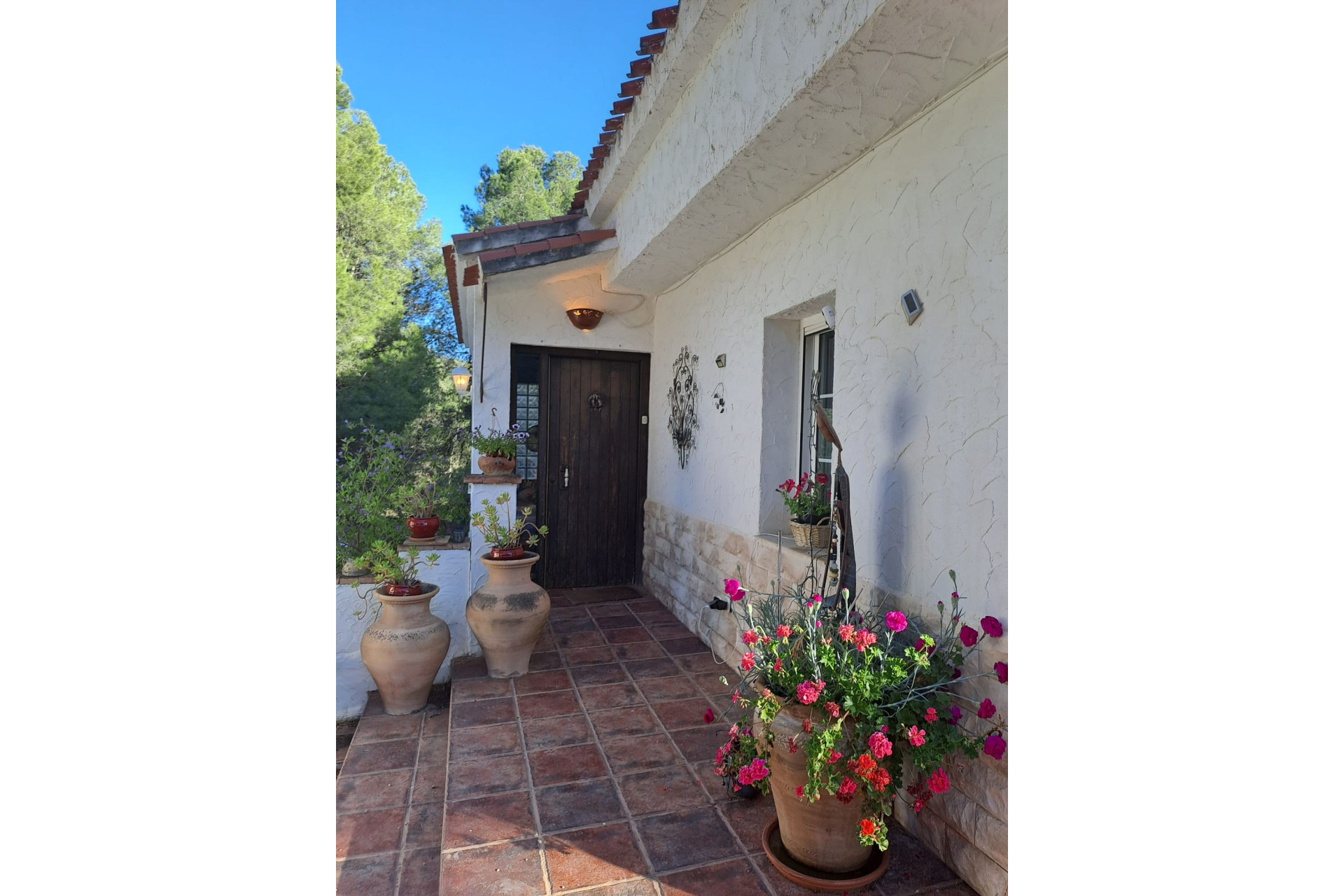 Resale - Finca - Country Property -
Sax